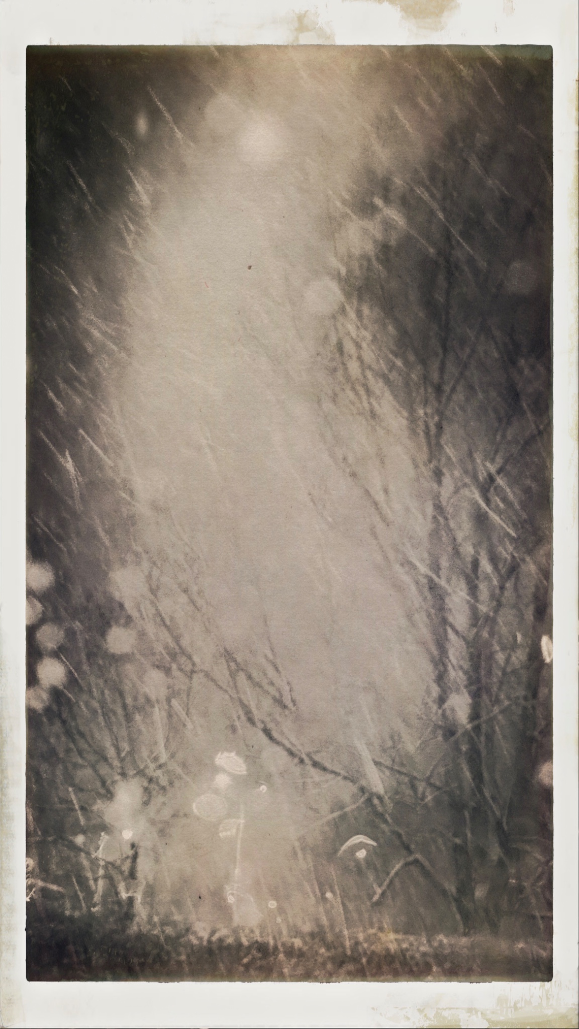 HipstamaticPhoto 757531358.368242