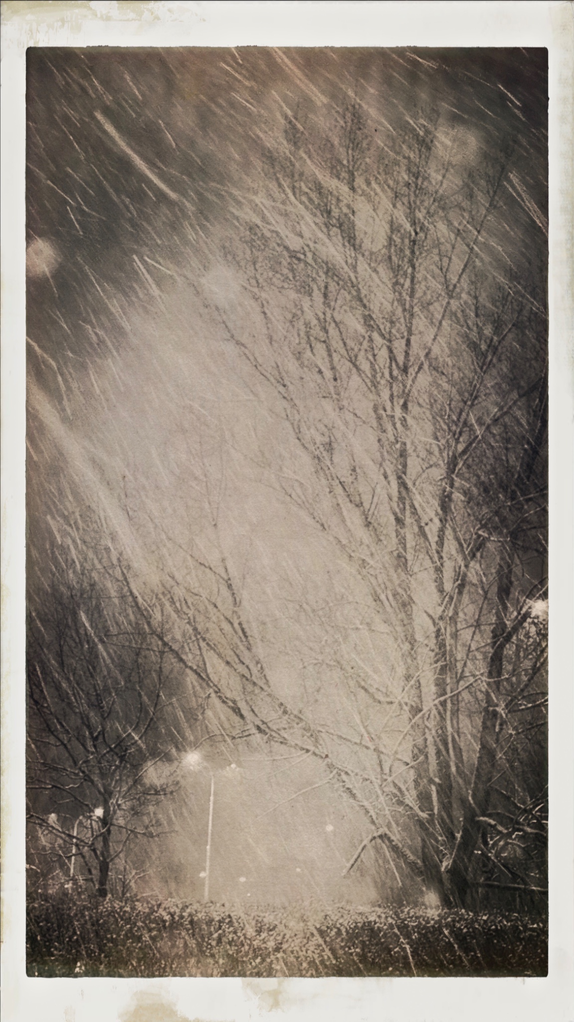 HipstamaticPhoto 757531362.188460