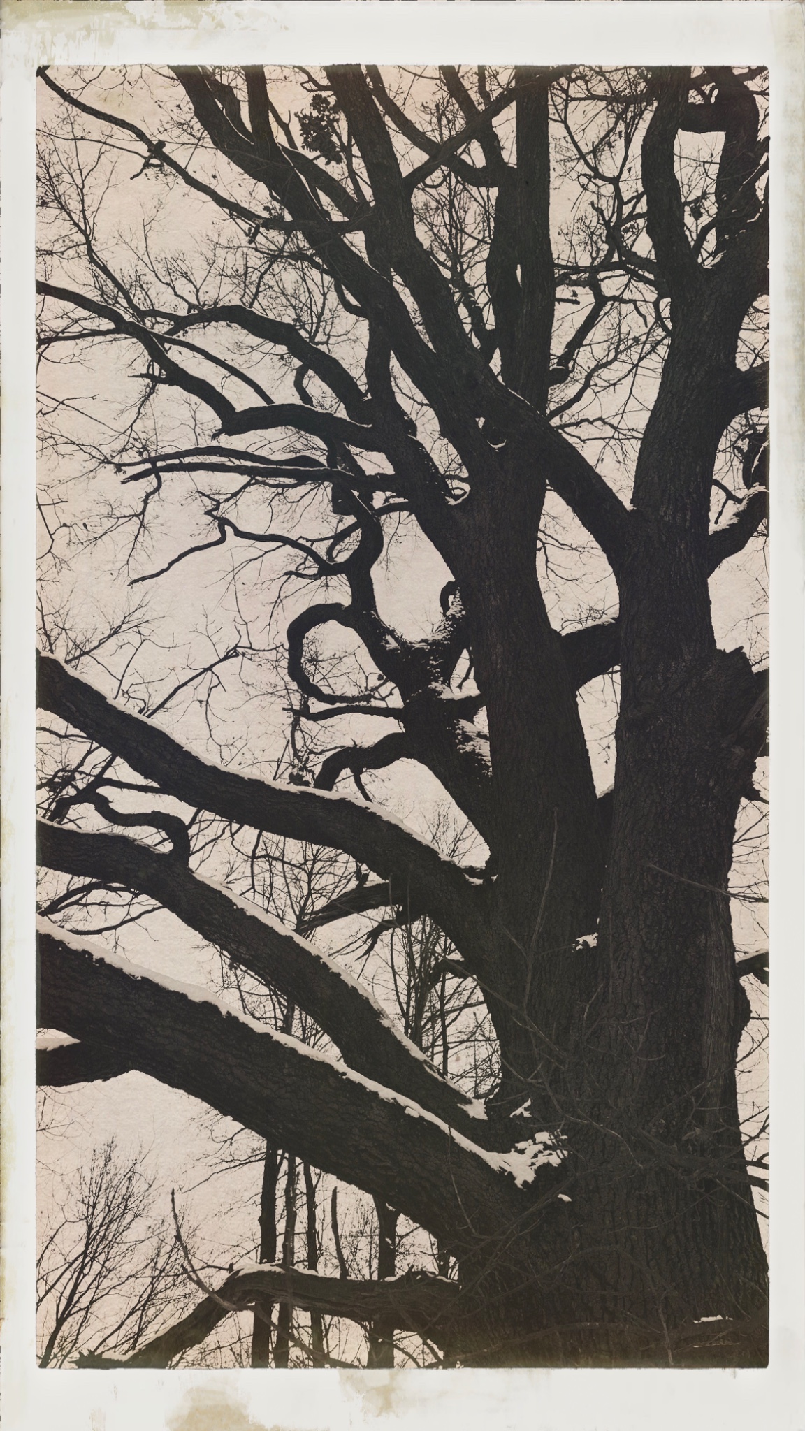 HipstamaticPhoto 757694002.694775