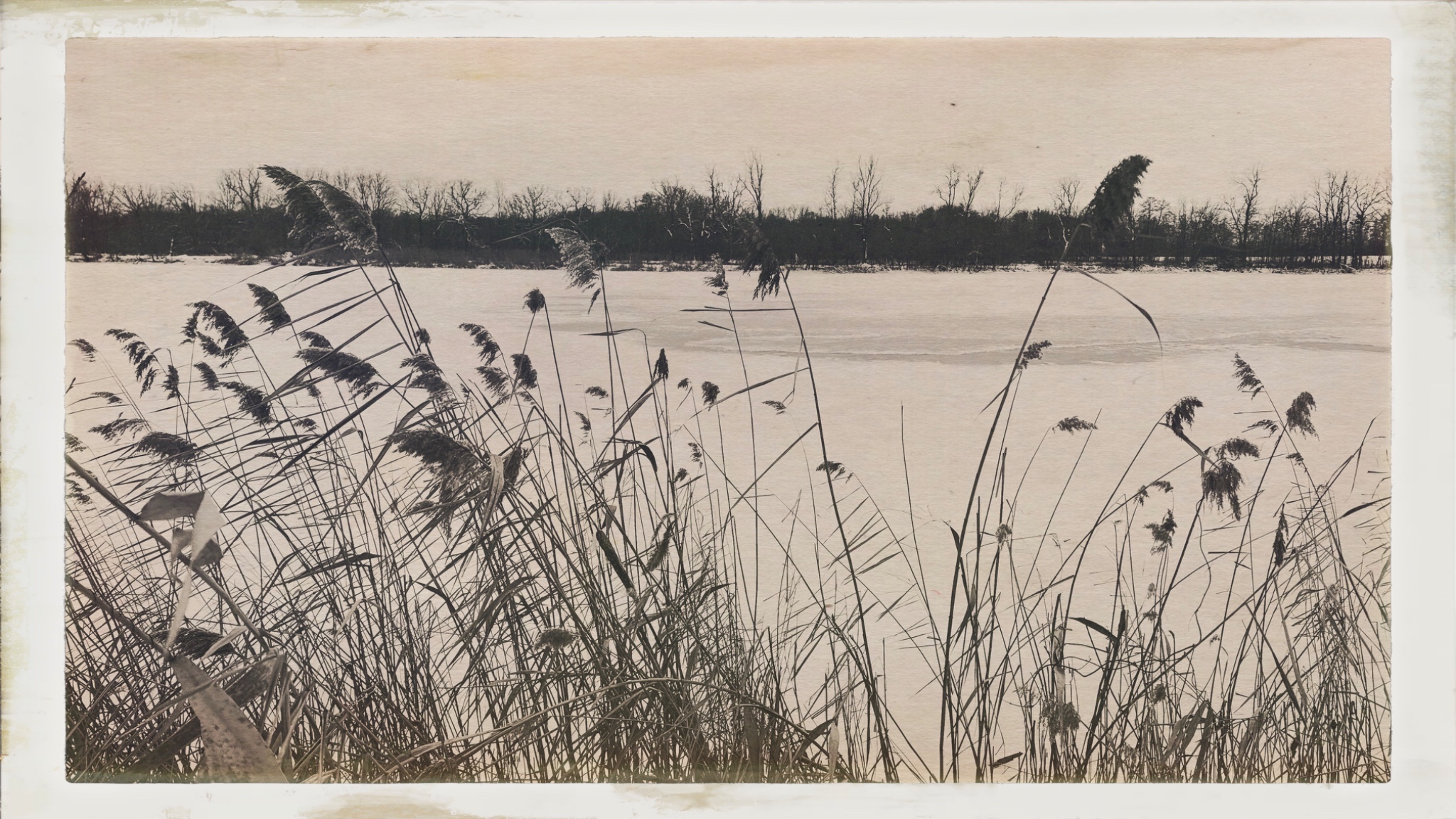 HipstamaticPhoto 757694814.082250