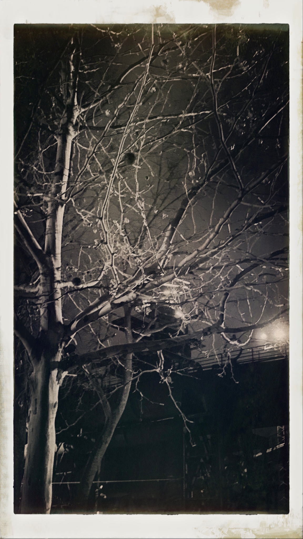 HipstamaticPhoto 758309736.265342