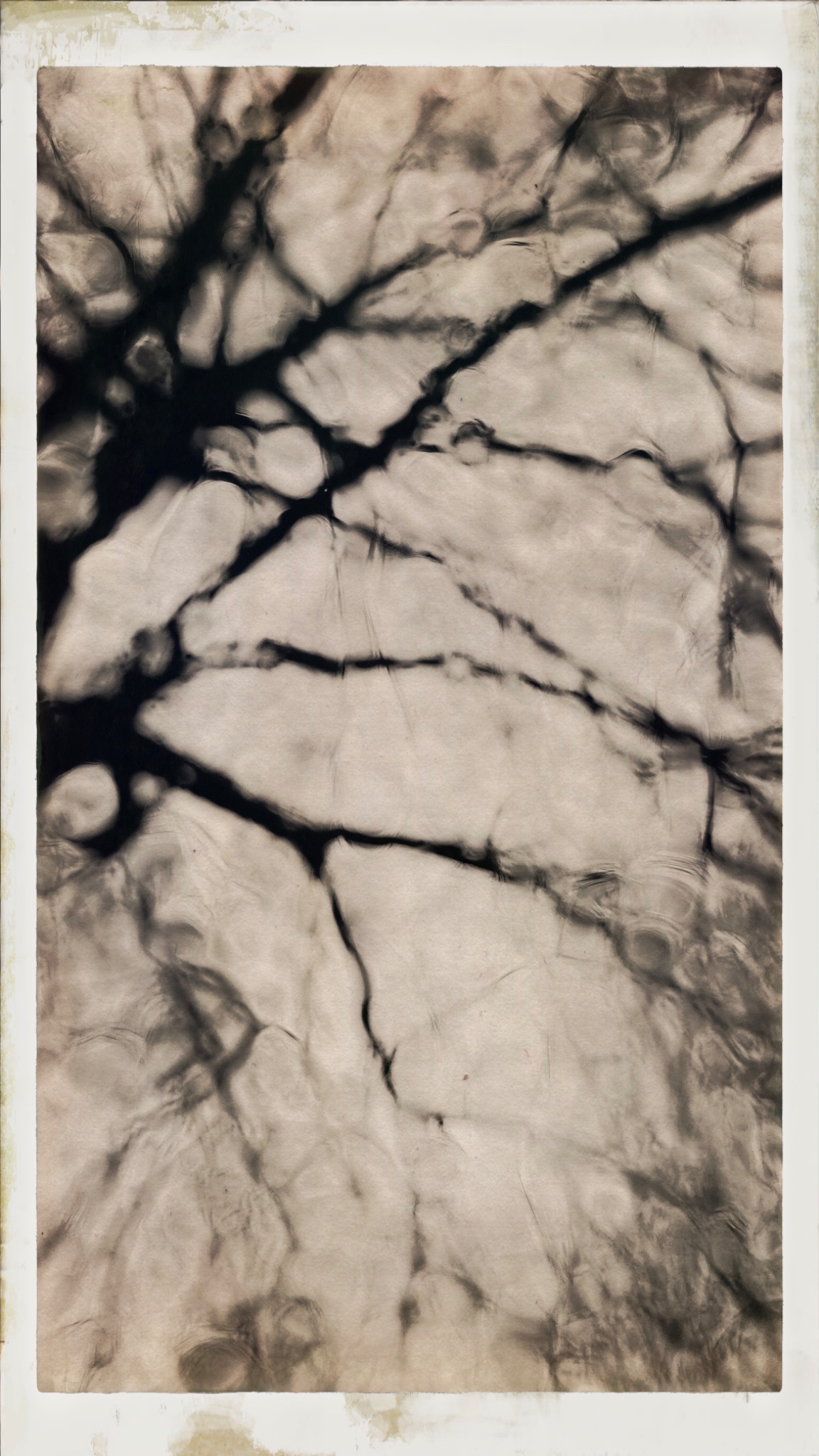 HipstamaticPhoto 758637047.451192