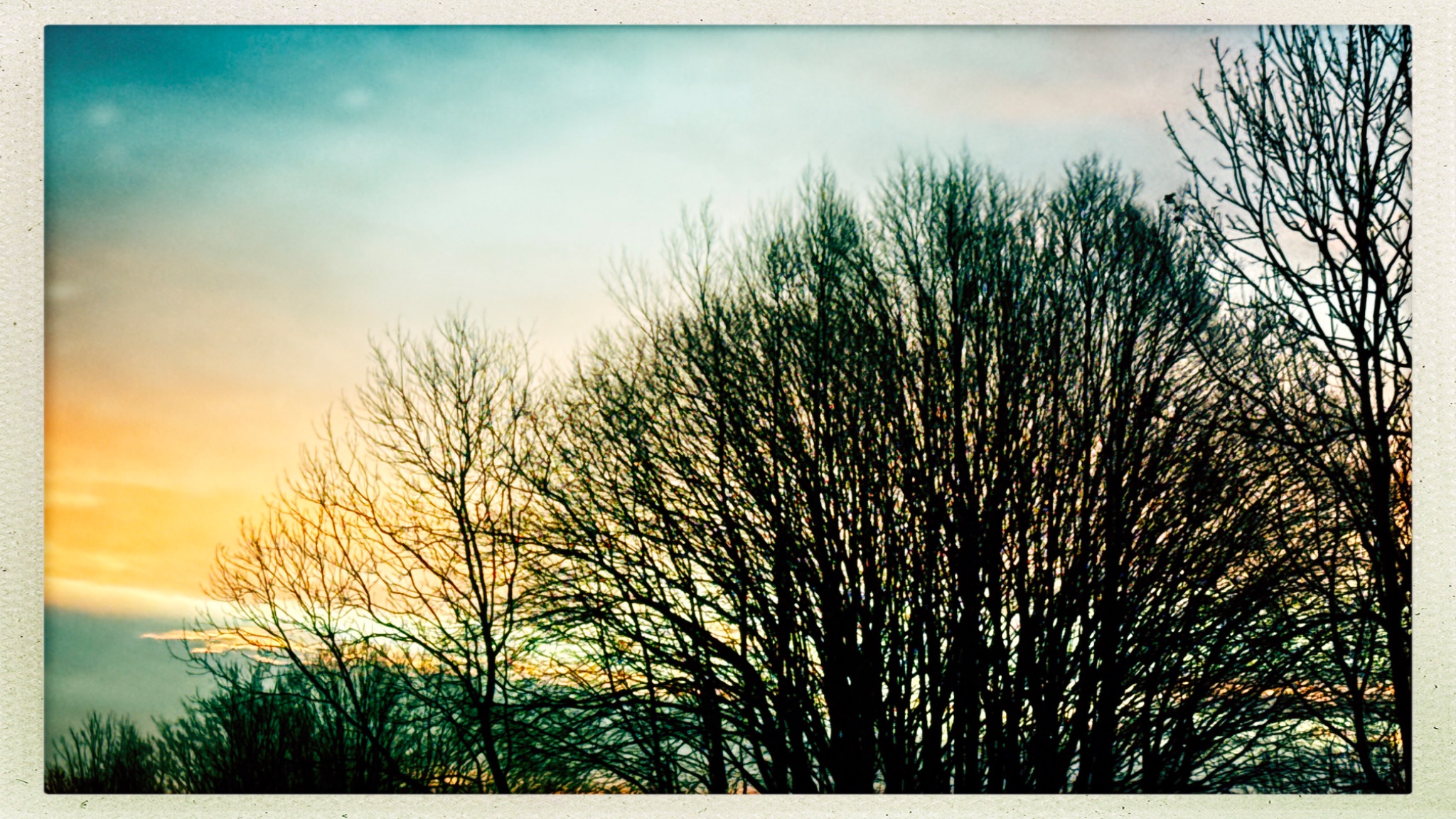 HipstamaticPhoto 759393073.077476