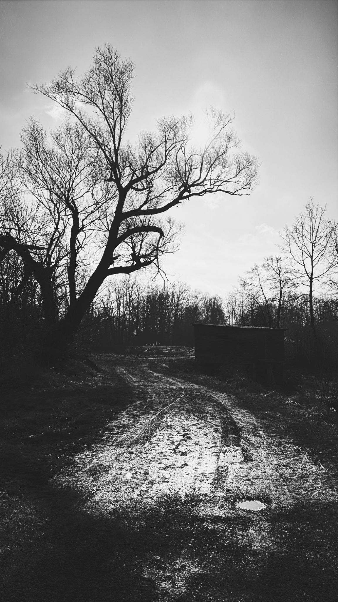 HipstamaticPhoto 759581199.751923