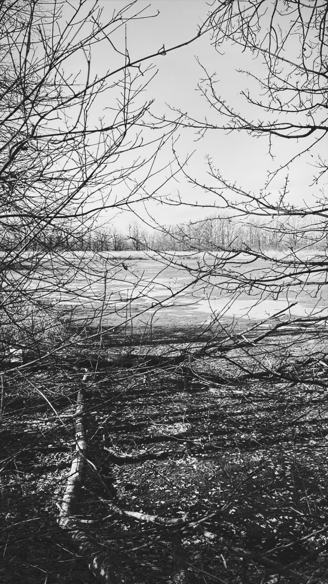 HipstamaticPhoto 759581464.010342