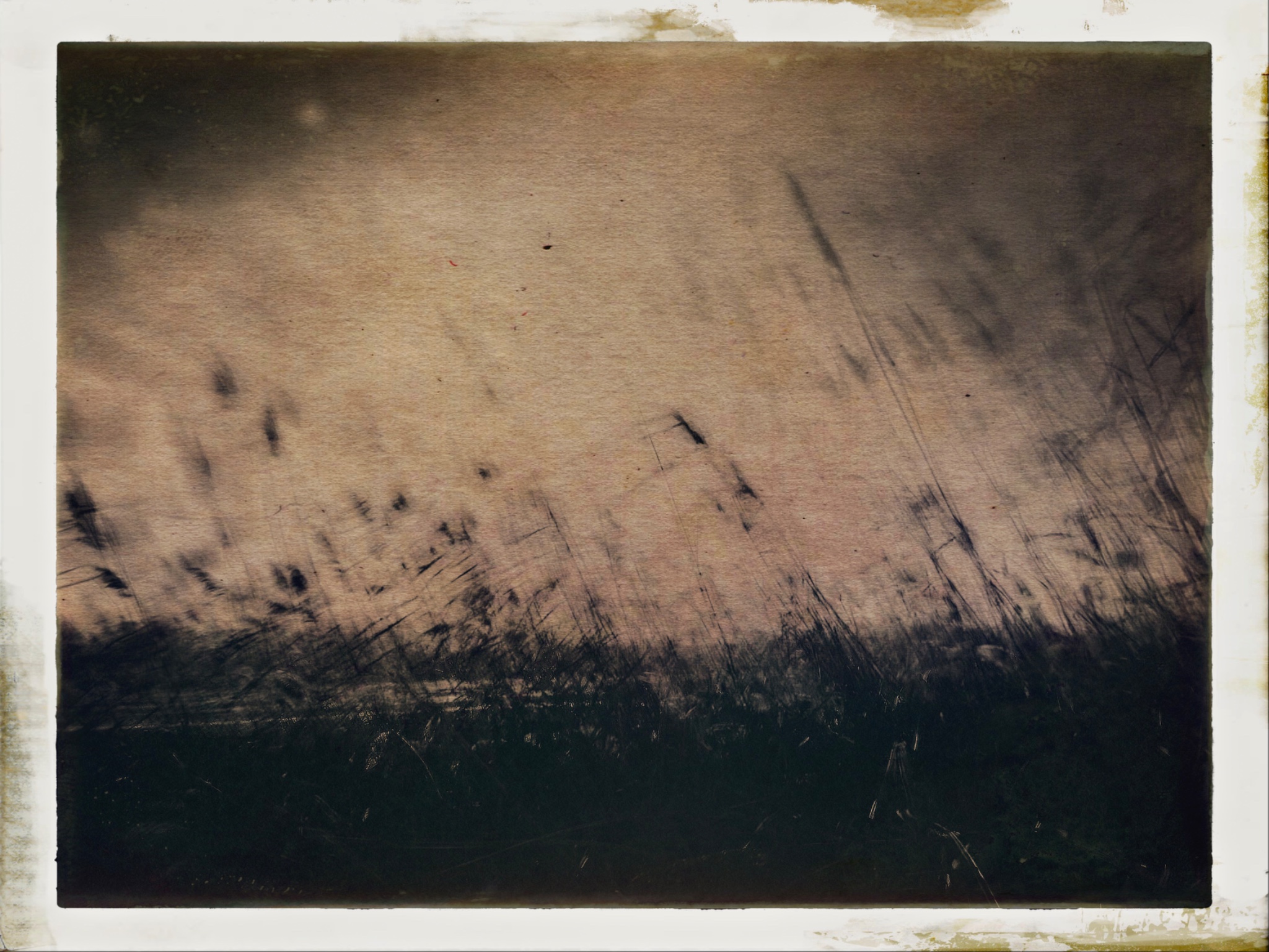 HipstamaticPhoto 759582941.746166