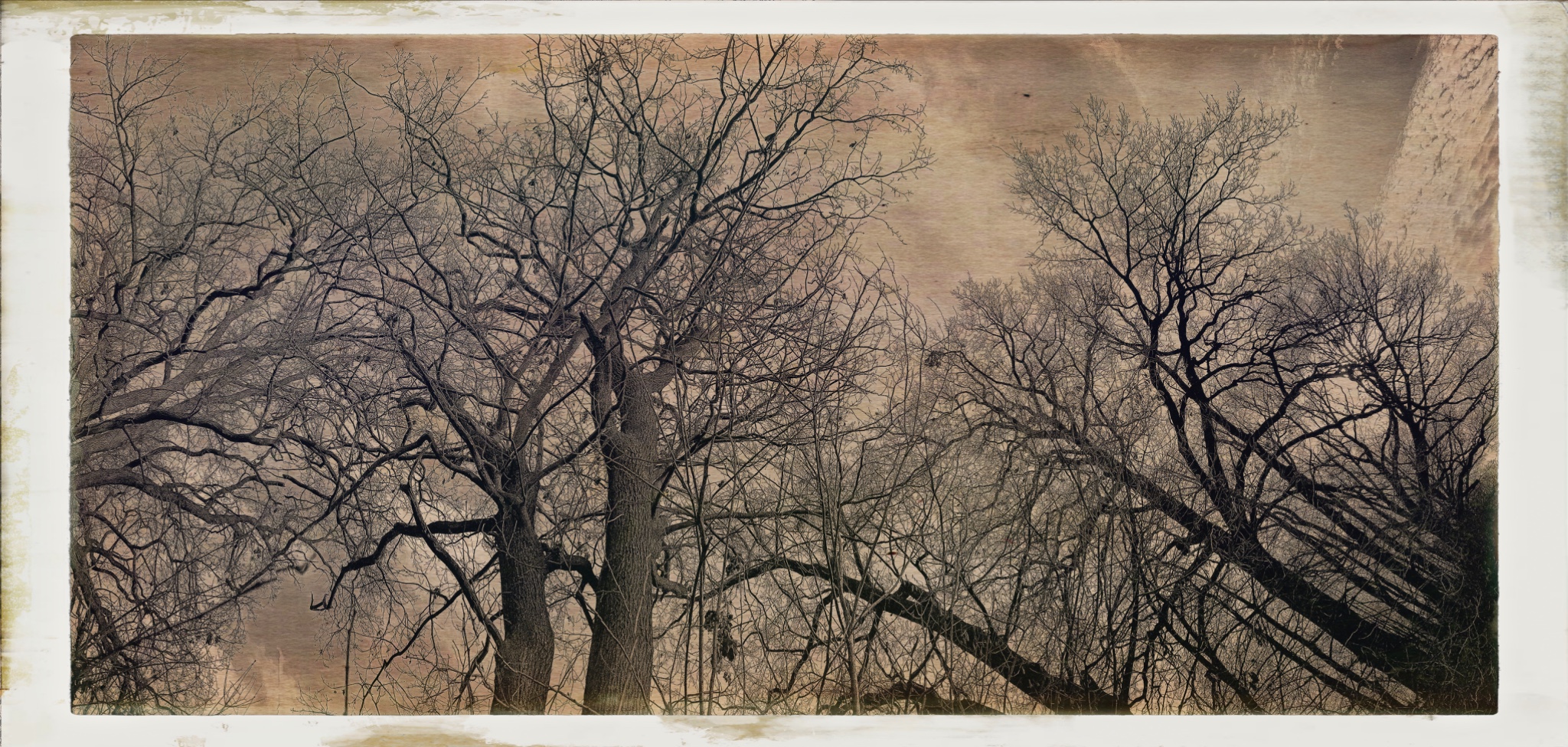 HipstamaticPhoto 759584161.850697