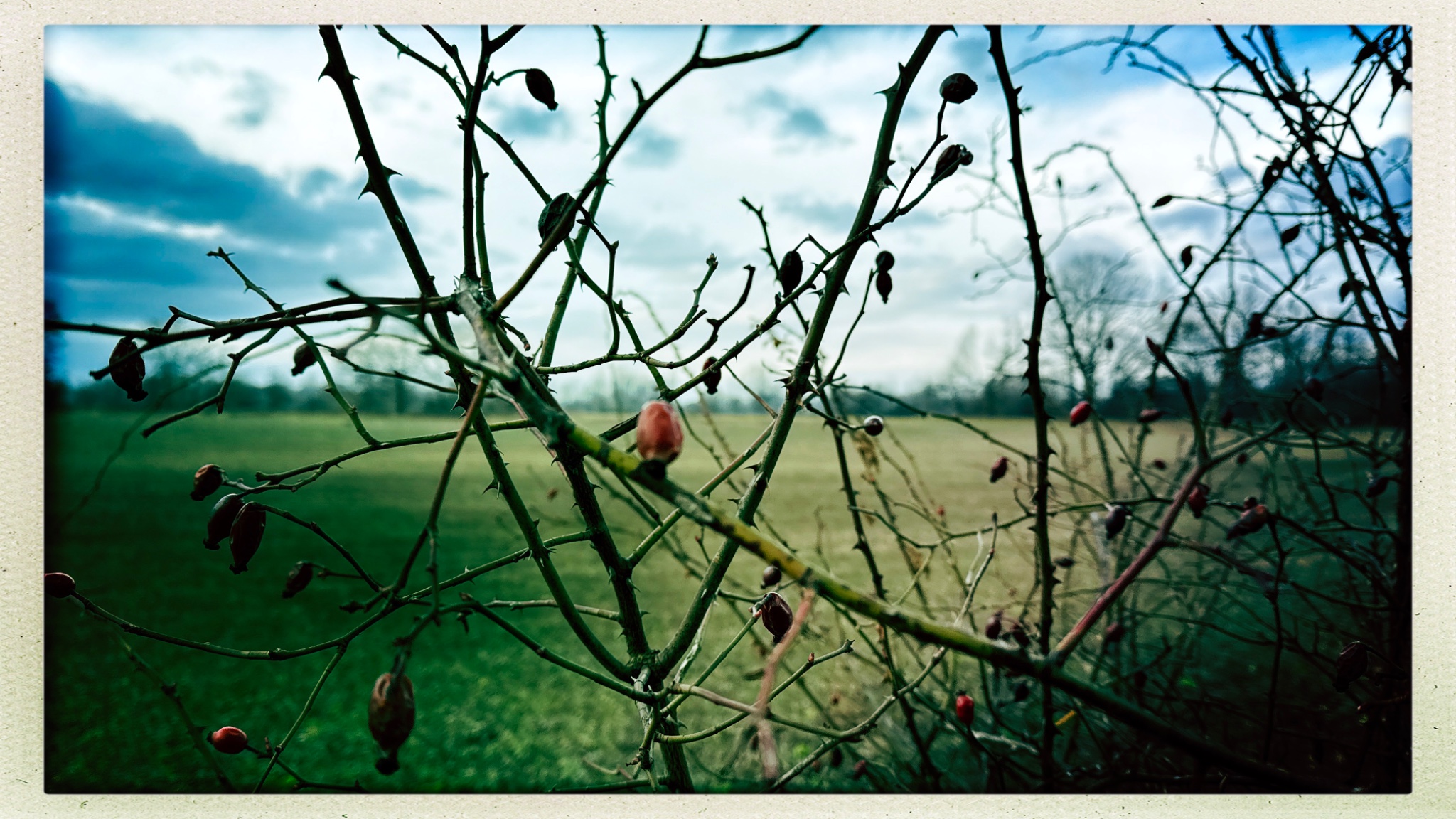 HipstamaticPhoto 759750246.077513