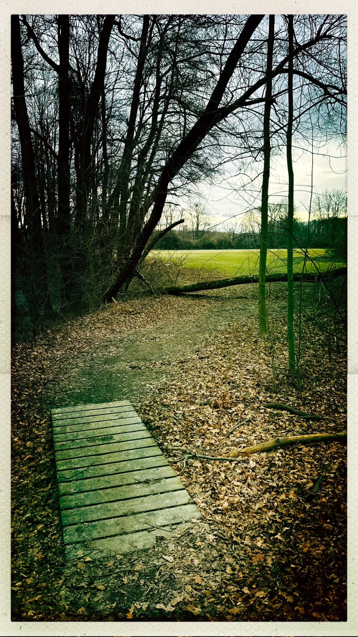 HipstamaticPhoto 759752300.545820