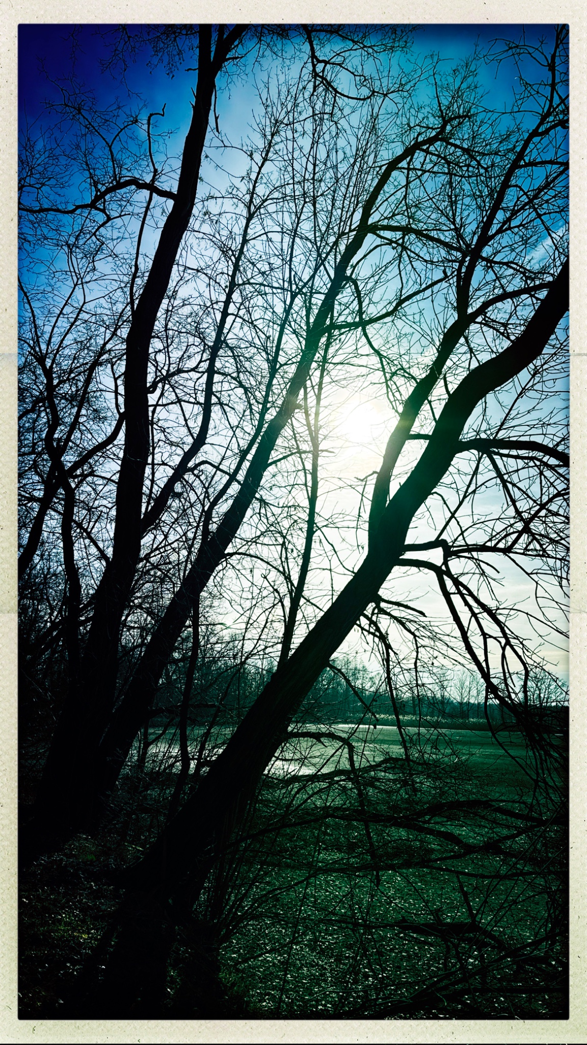 HipstamaticPhoto 759926859.389721