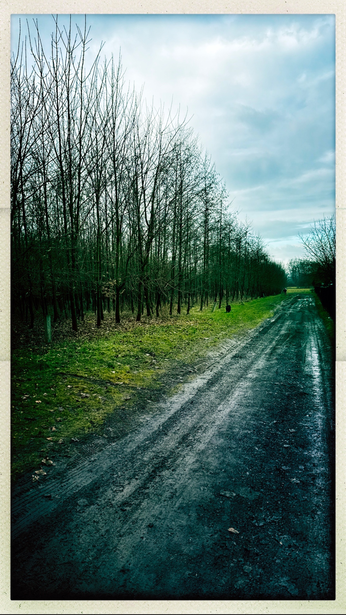 HipstamaticPhoto 760008655.919009