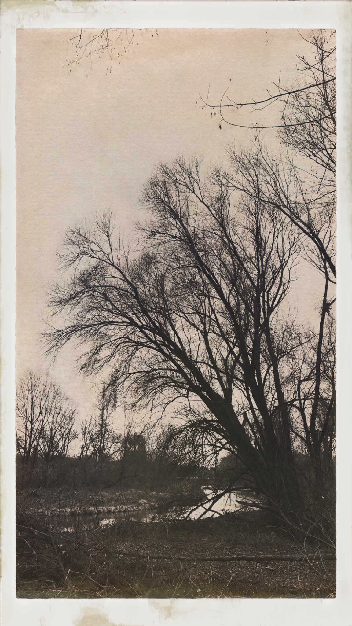 HipstamaticPhoto 760011039.723119