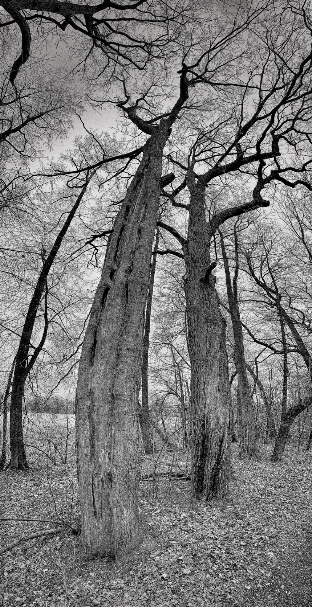 HipstamaticPhoto 760200293.753912