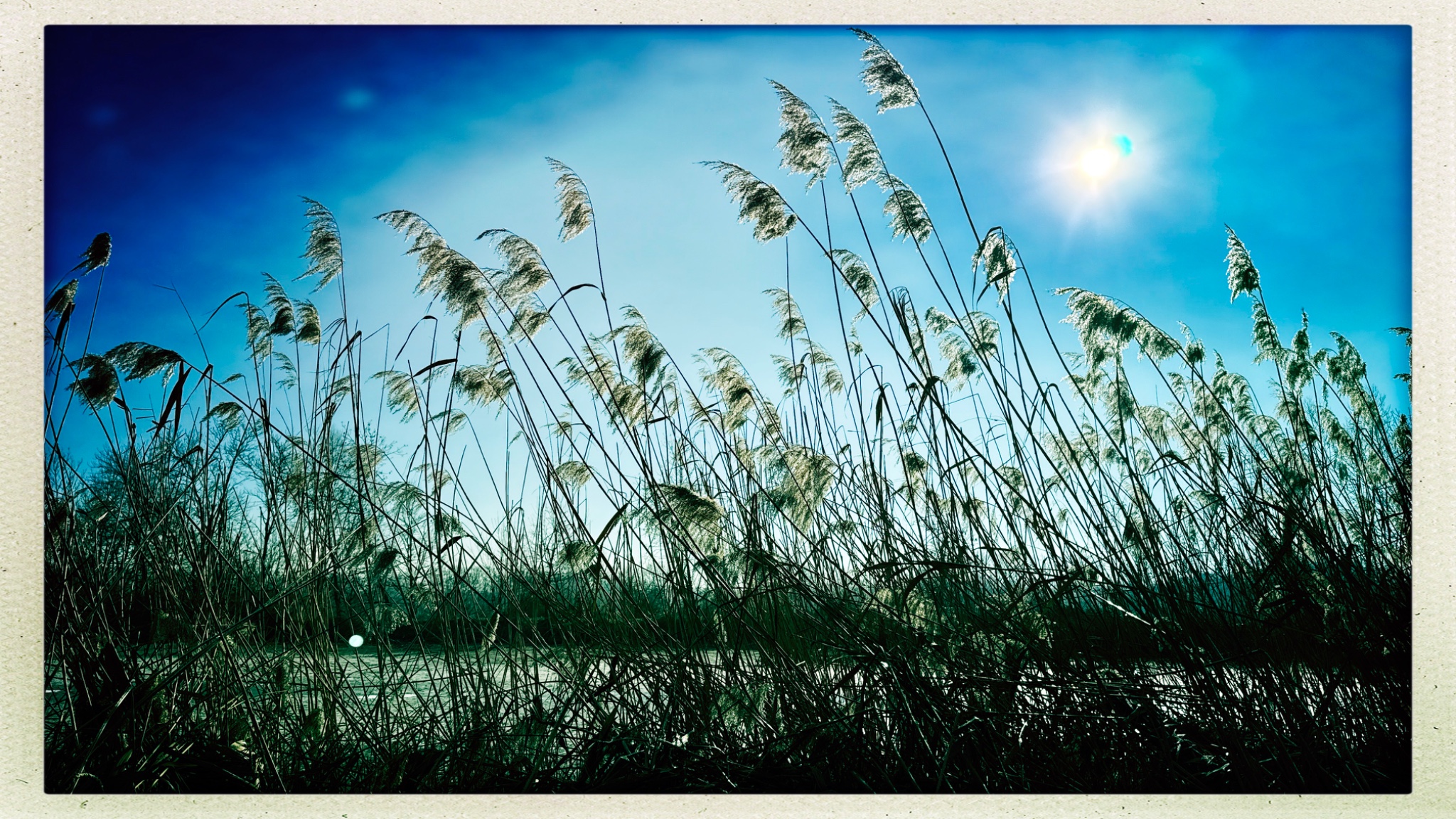 HipstamaticPhoto 760358056.208603