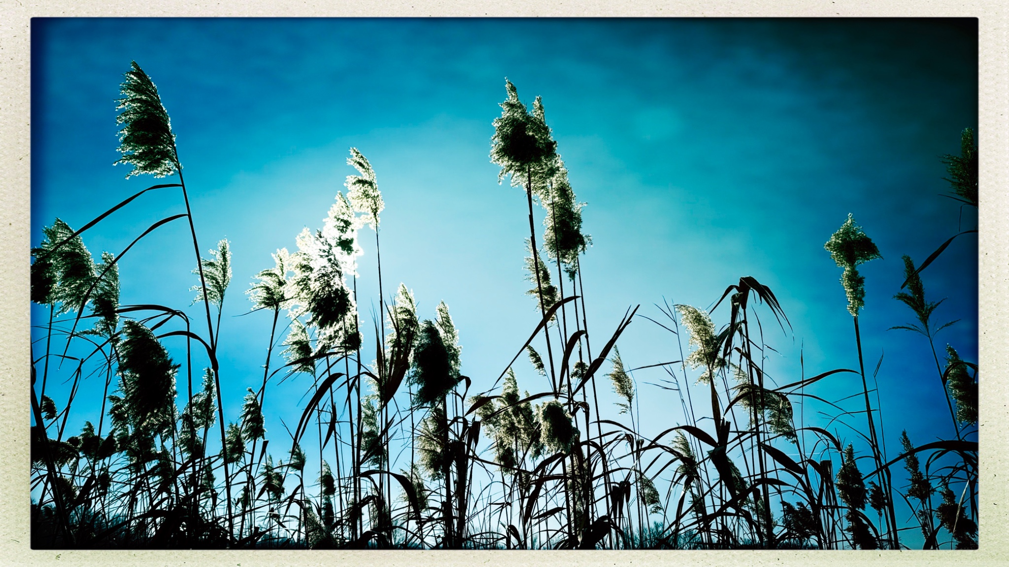 HipstamaticPhoto 760358285.325536