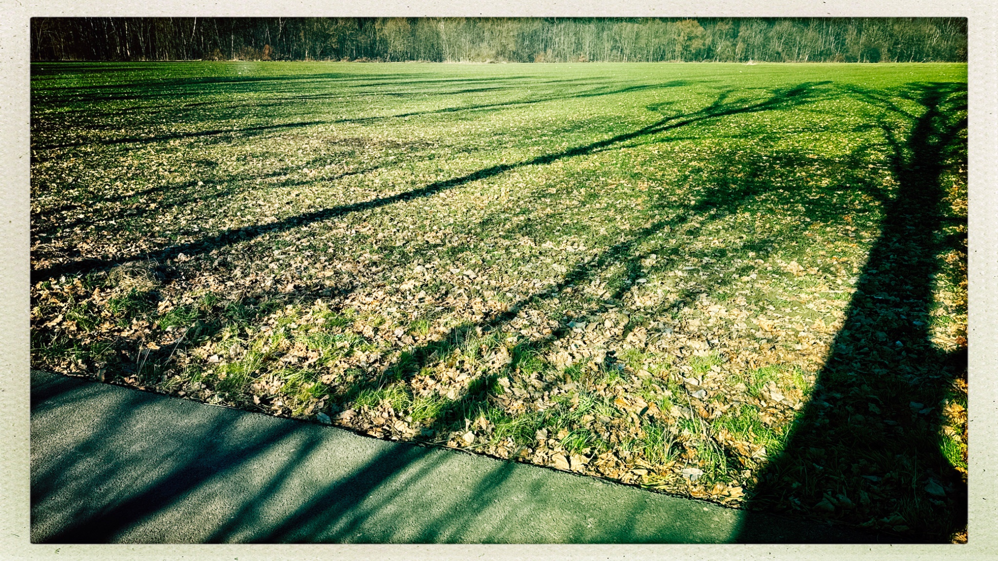 HipstamaticPhoto 760359648.834155