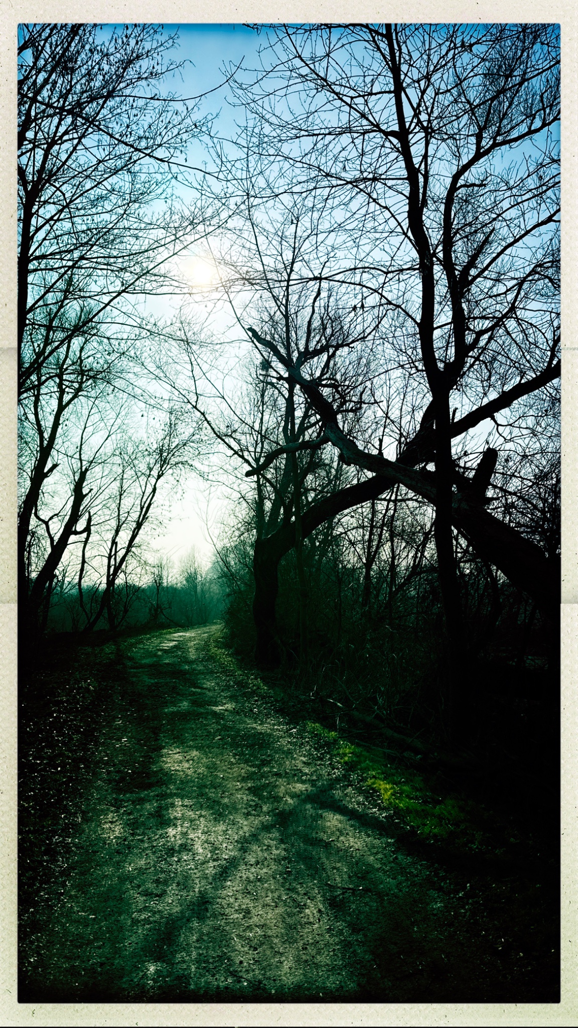 HipstamaticPhoto 760961948.872276