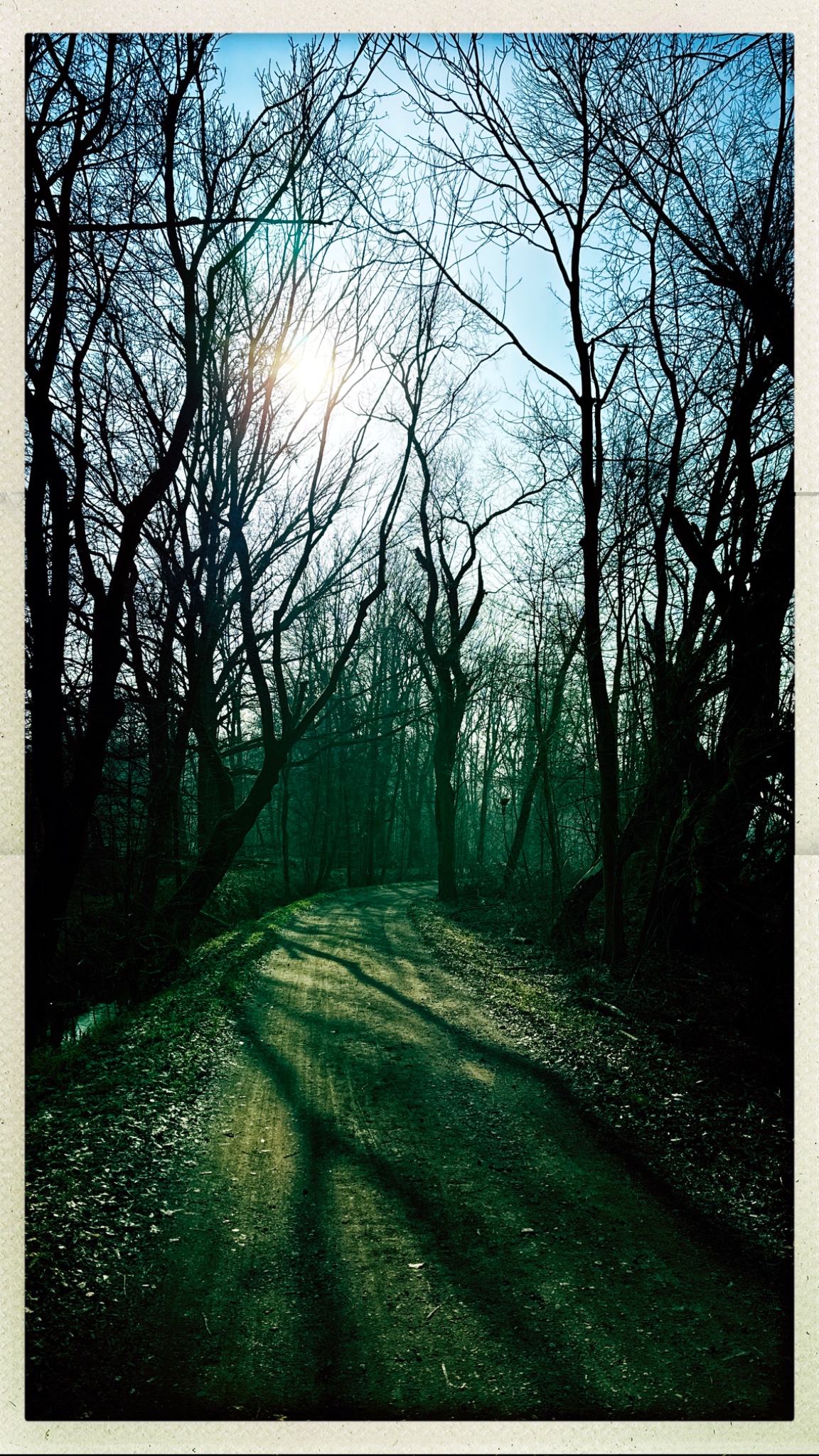 HipstamaticPhoto 760962704.855753