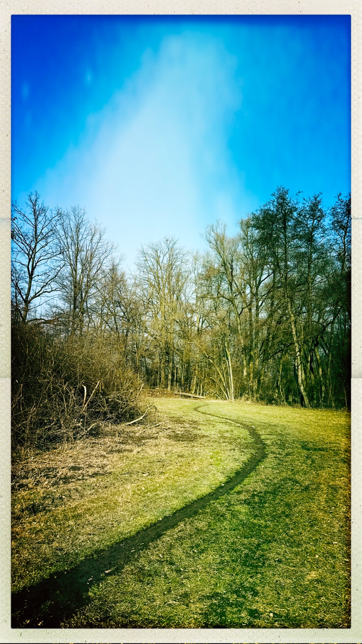 HipstamaticPhoto 760963175.335200