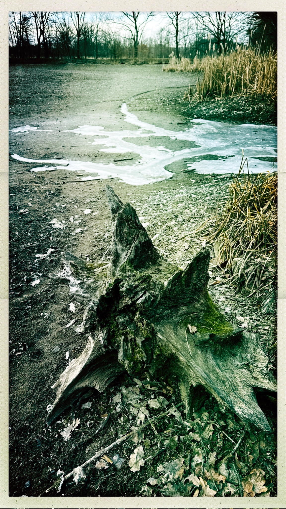 HipstamaticPhoto 761844216.643142