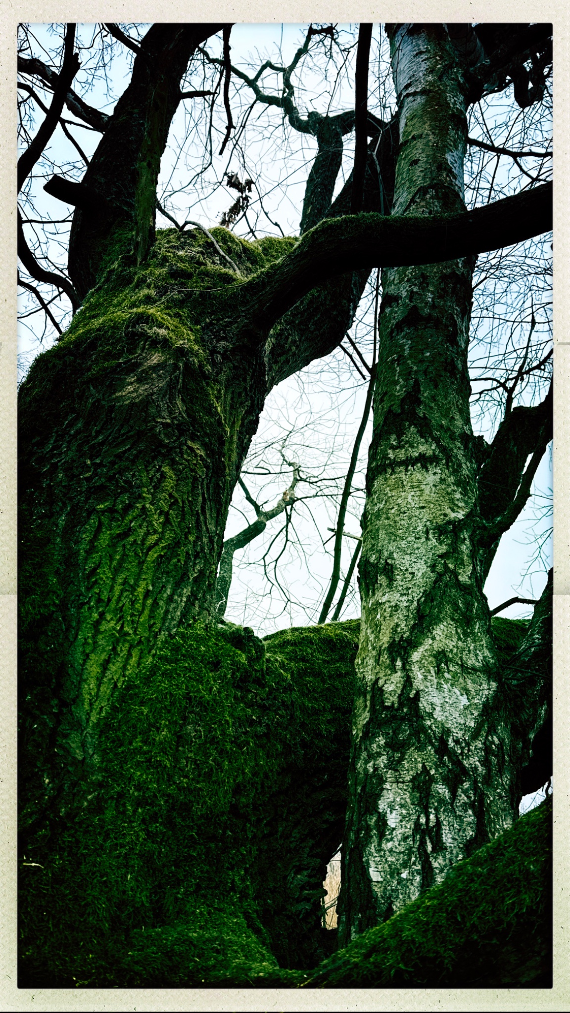 HipstamaticPhoto 762276184.801037