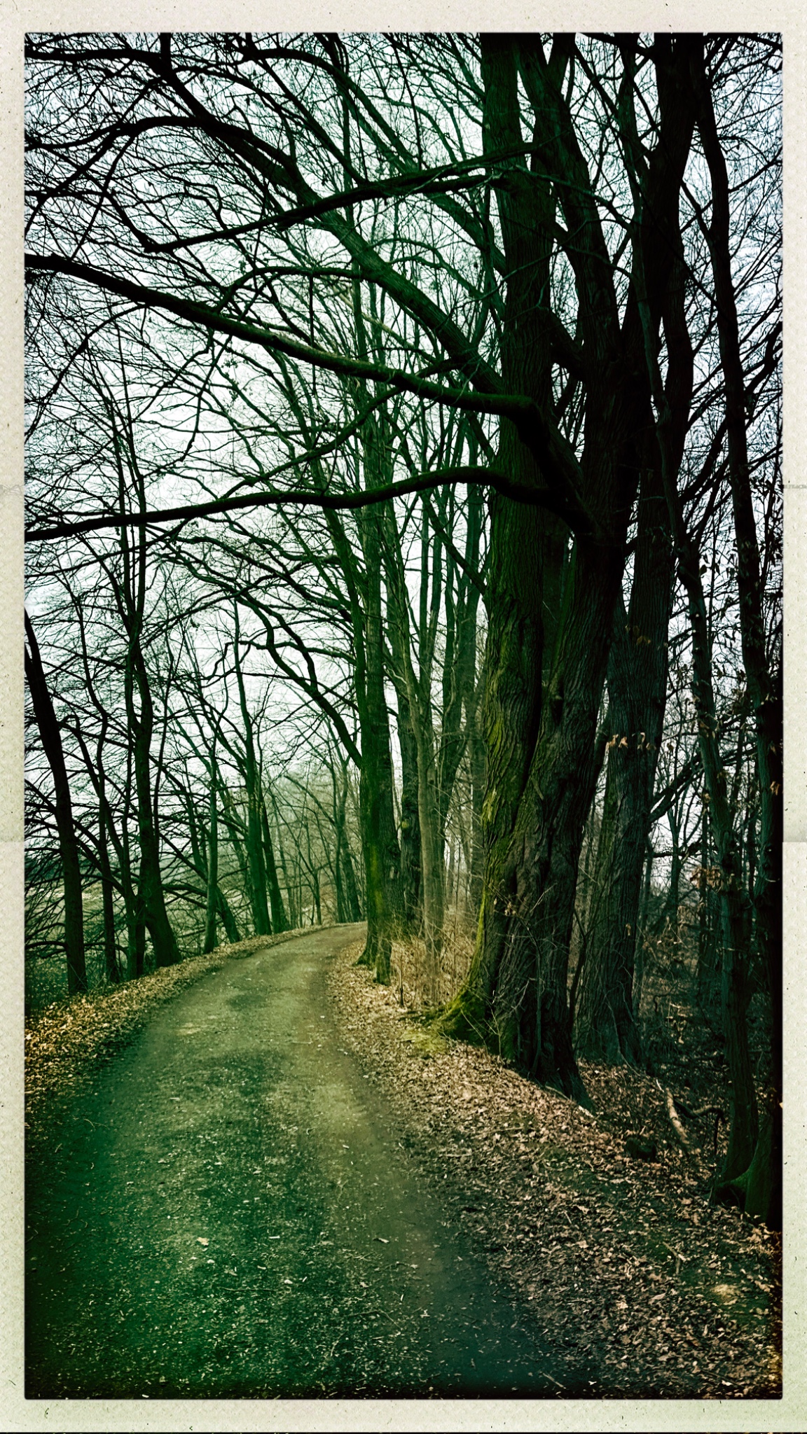 HipstamaticPhoto 762276353.633694