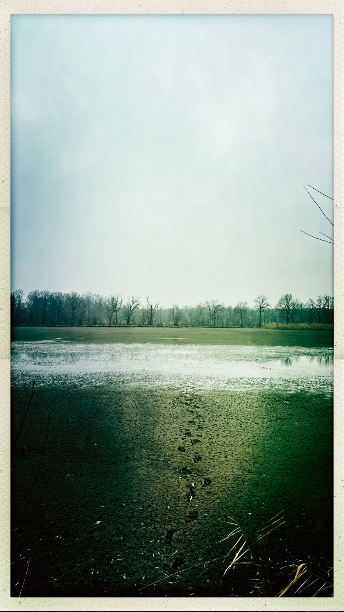 HipstamaticPhoto 762276710.301109