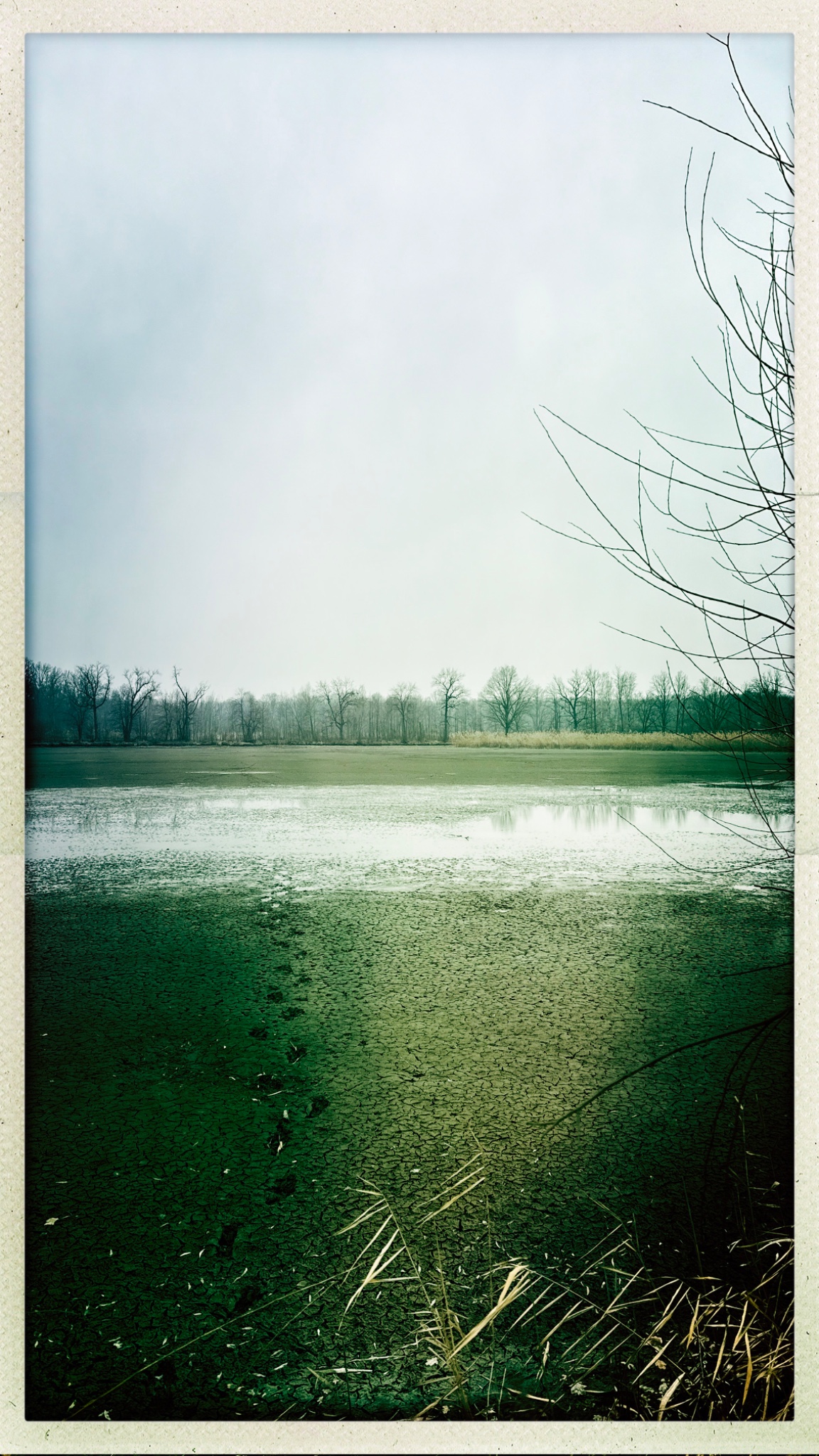 HipstamaticPhoto 762276715.150827