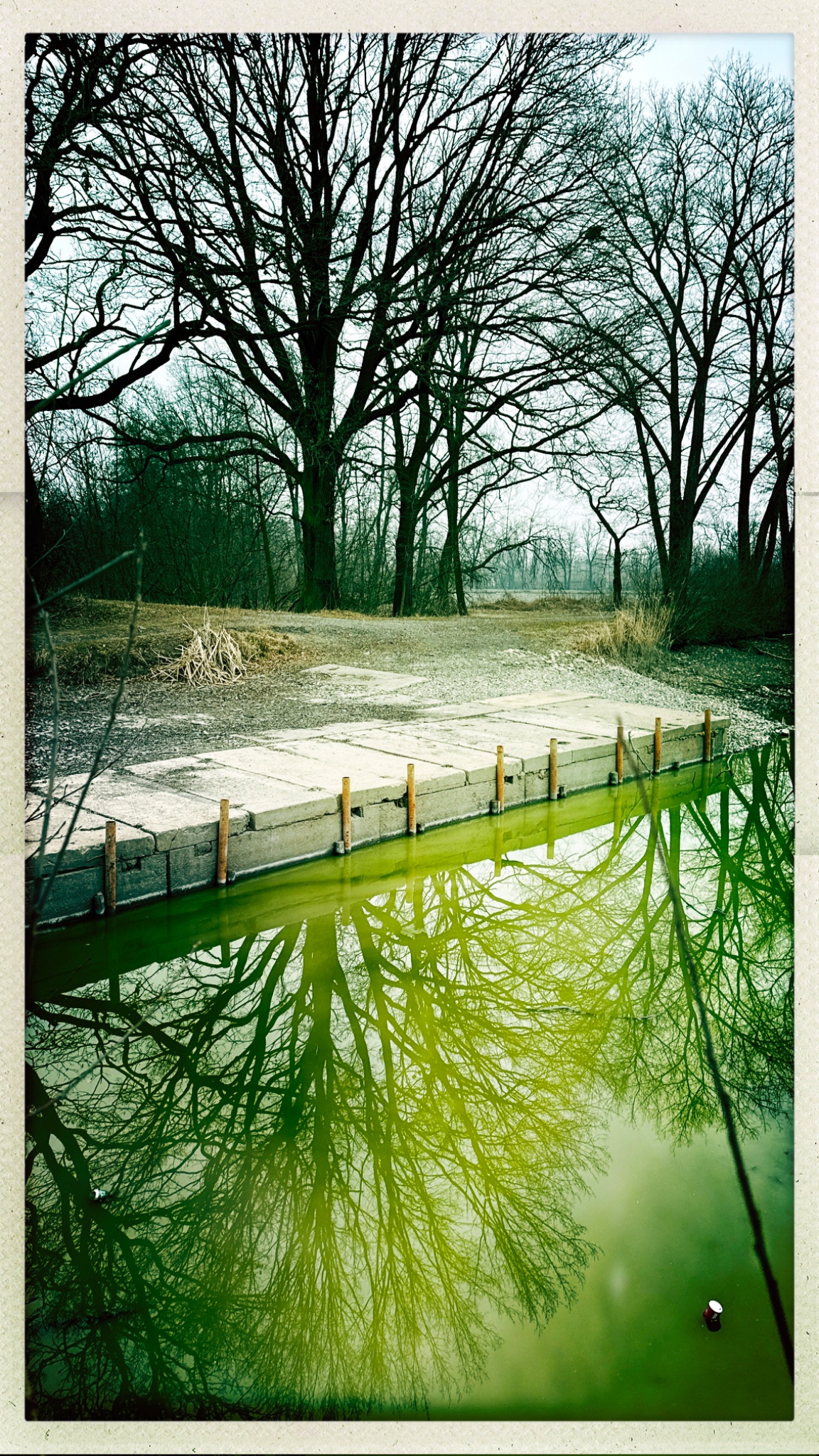 HipstamaticPhoto 762277168.259327