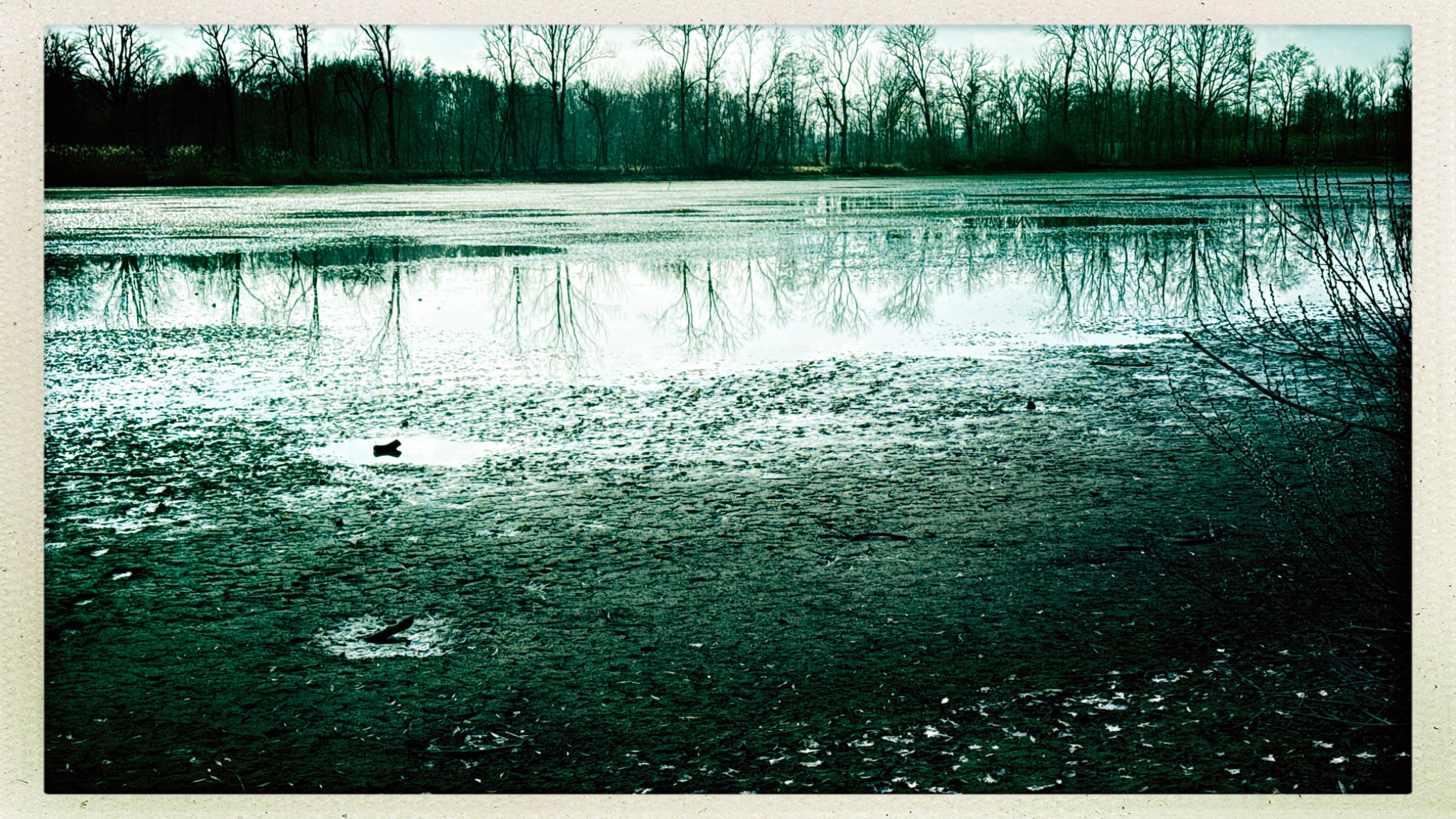 HipstamaticPhoto 762607528.060562