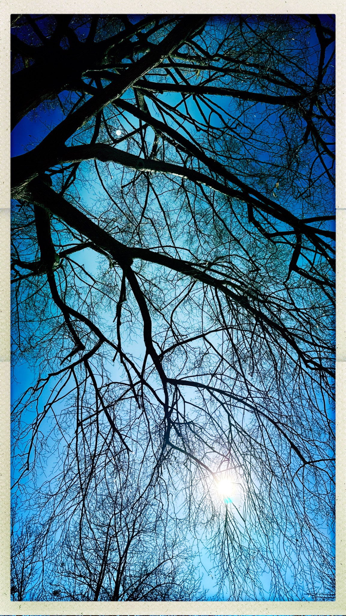 HipstamaticPhoto 762956760.553069