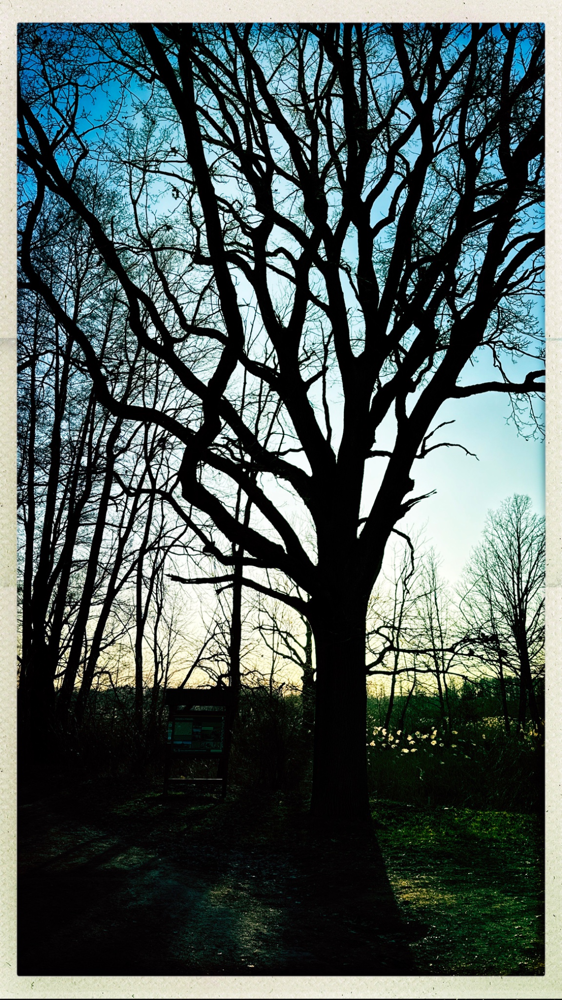 HipstamaticPhoto 762969081.926050