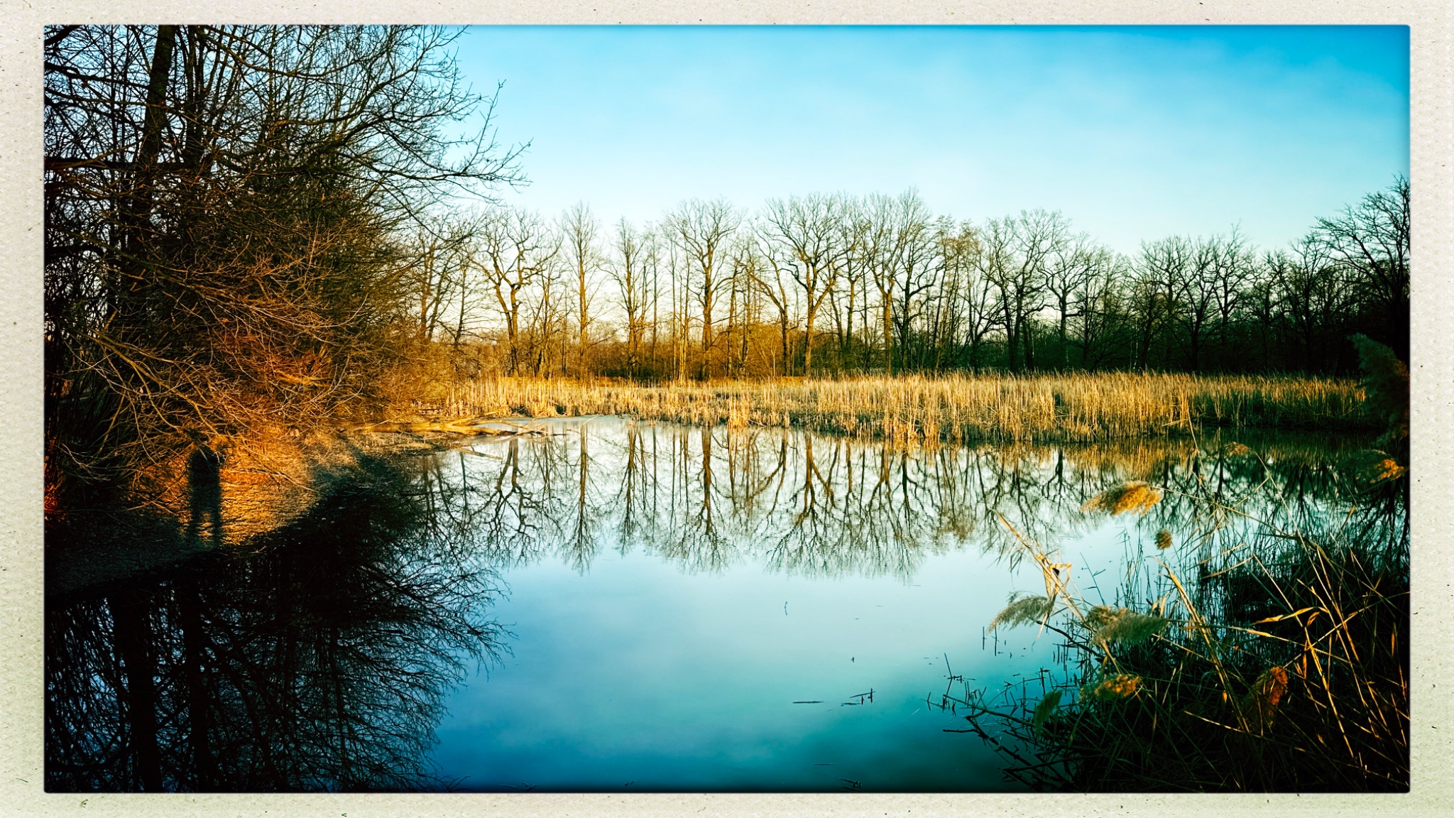 HipstamaticPhoto 762970182.730917