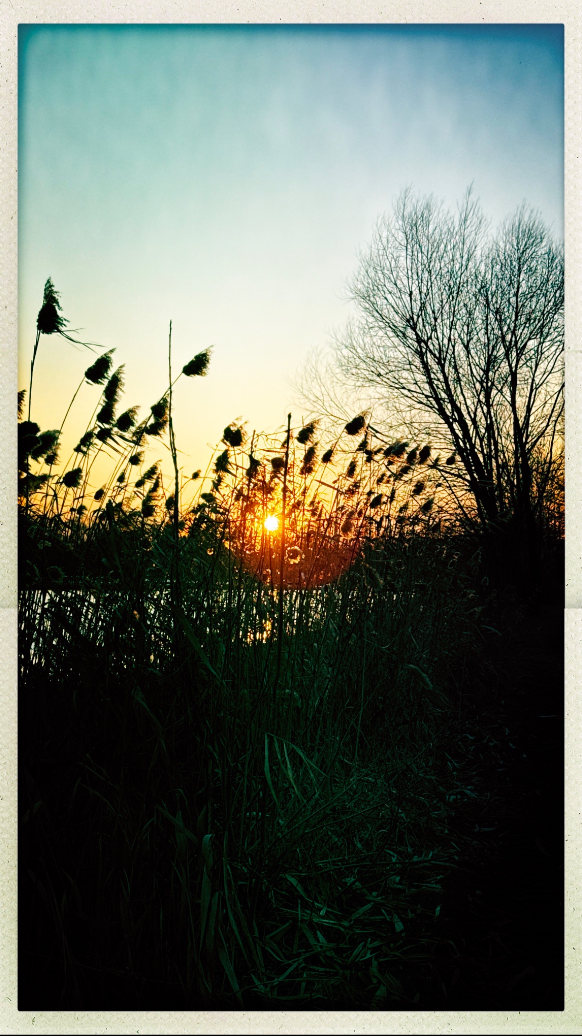 HipstamaticPhoto 762971016.283842