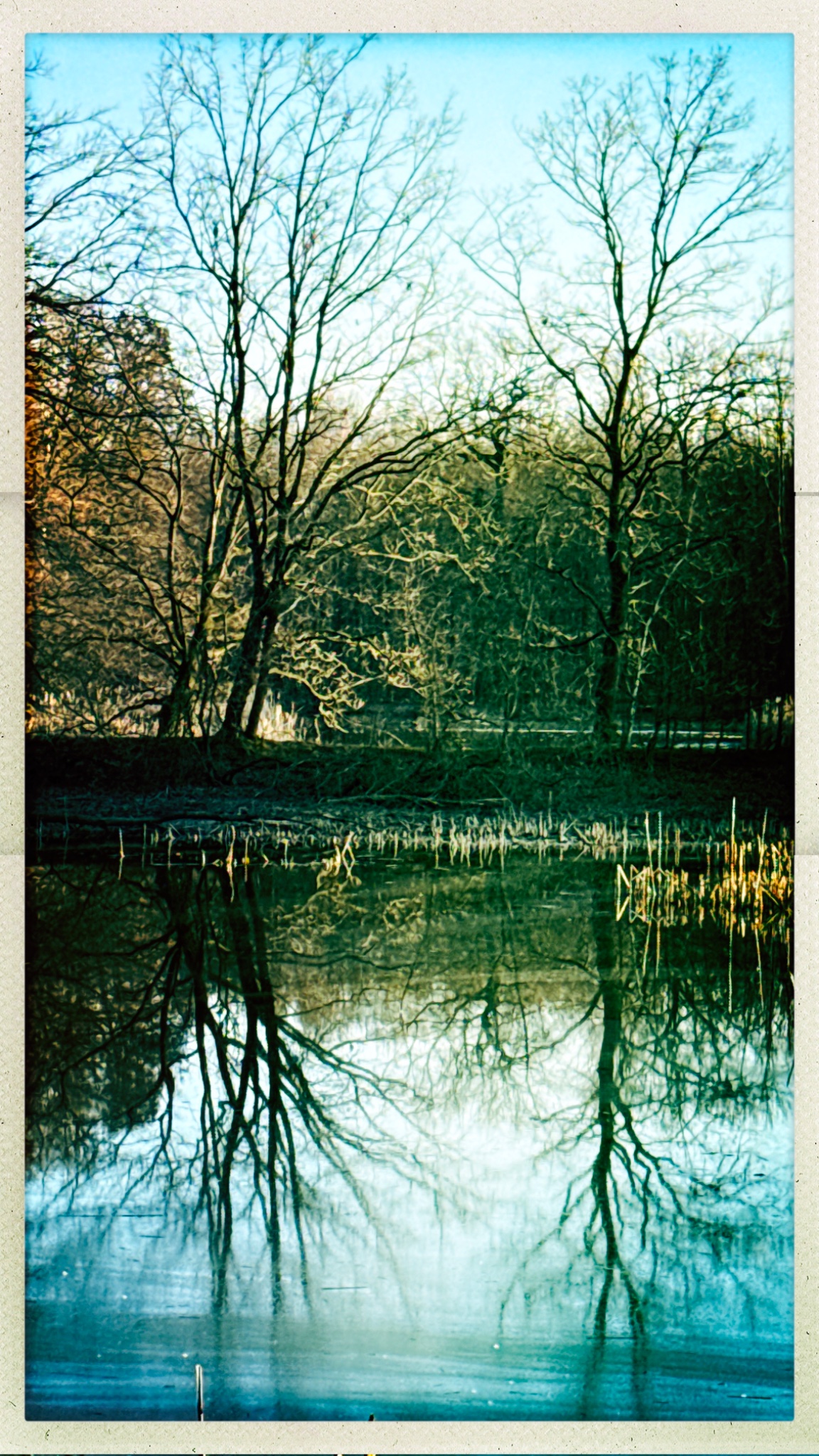 HipstamaticPhoto 763054749.373026