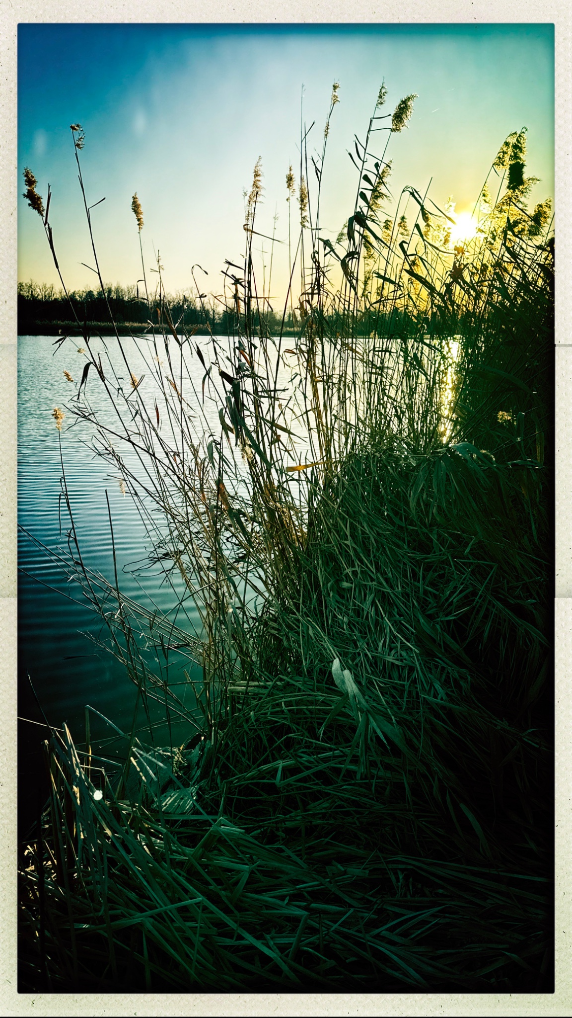 HipstamaticPhoto 763055353.021099