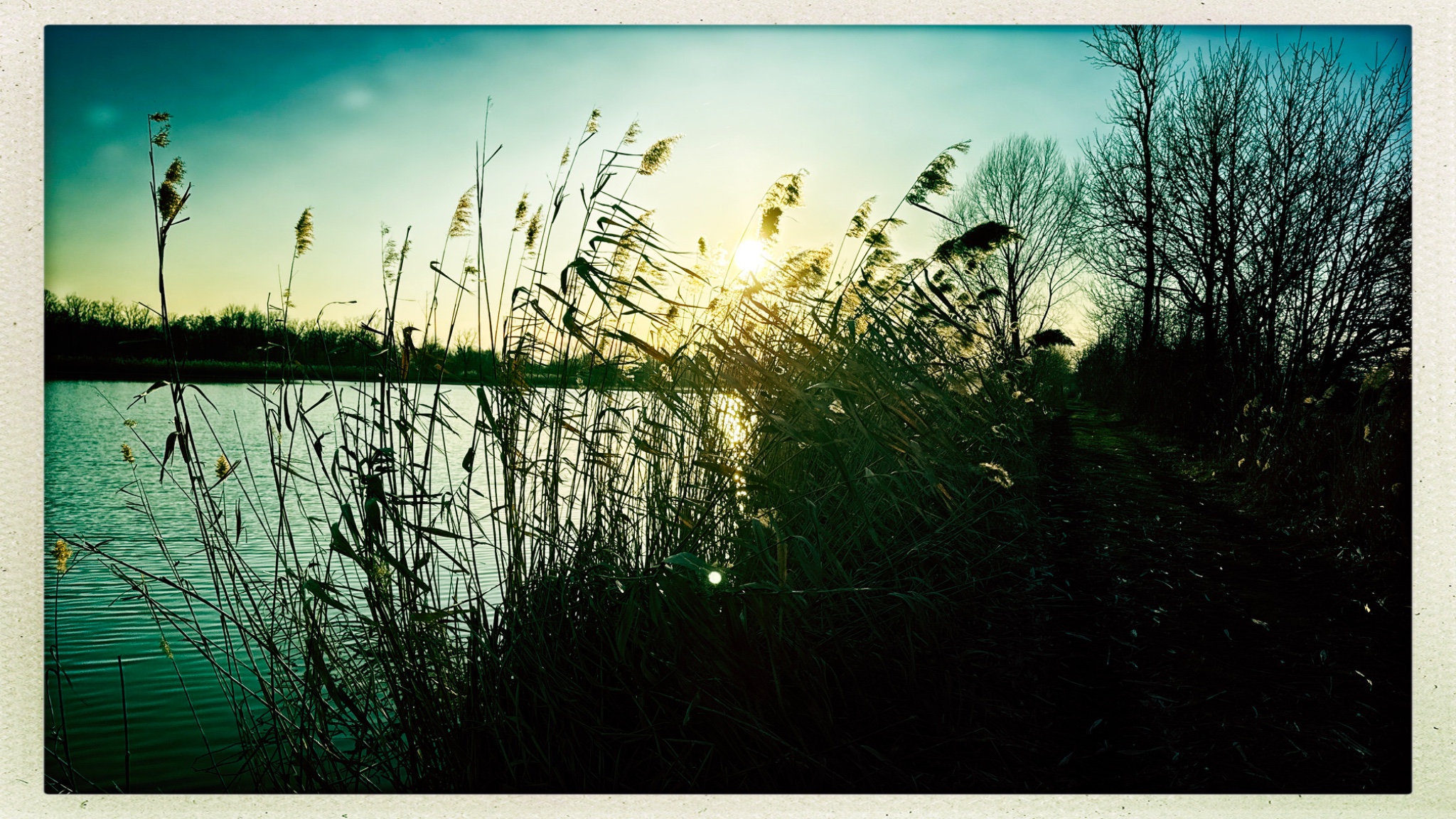 HipstamaticPhoto 763055364.903271