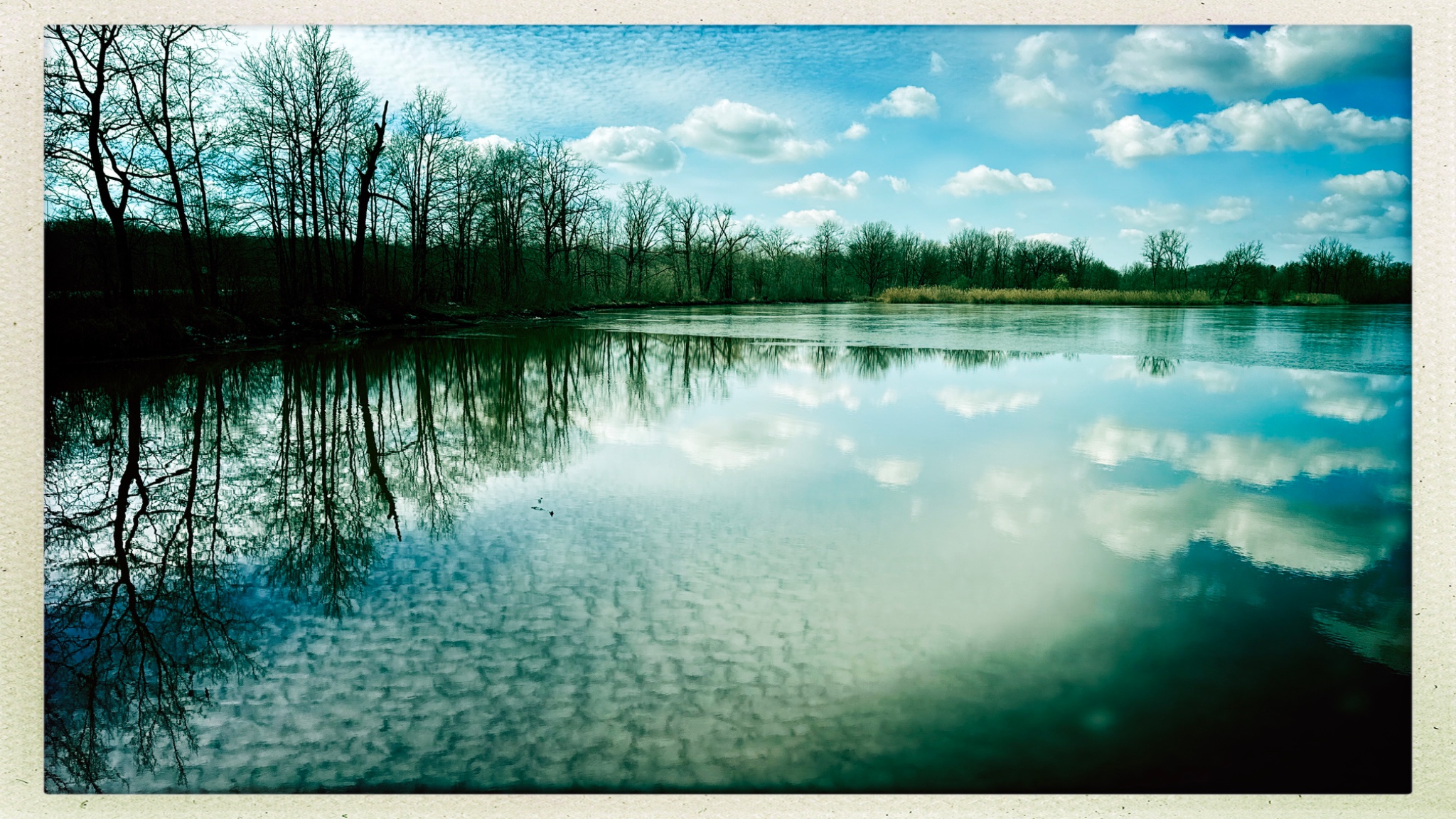 HipstamaticPhoto 763984620.987524