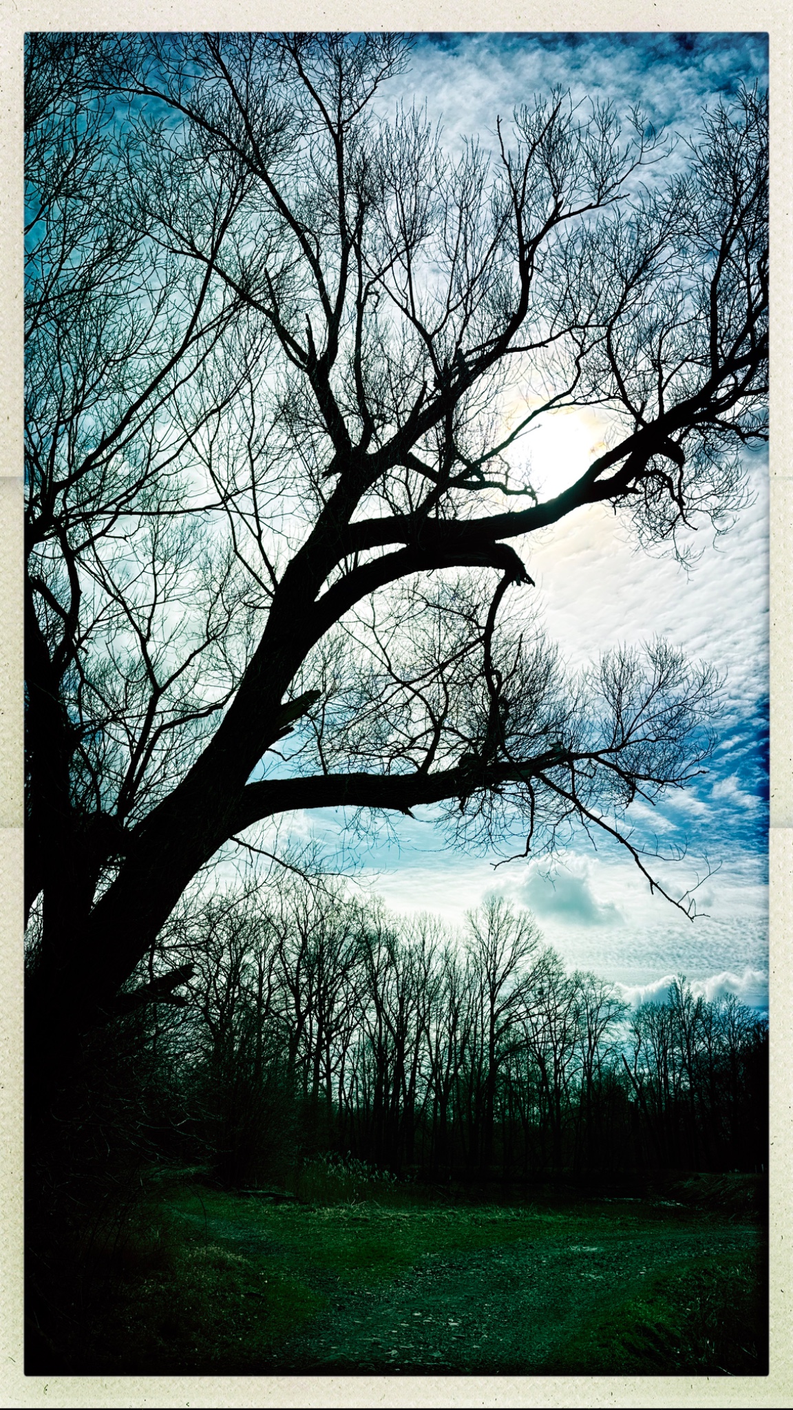 HipstamaticPhoto 763984697.744451