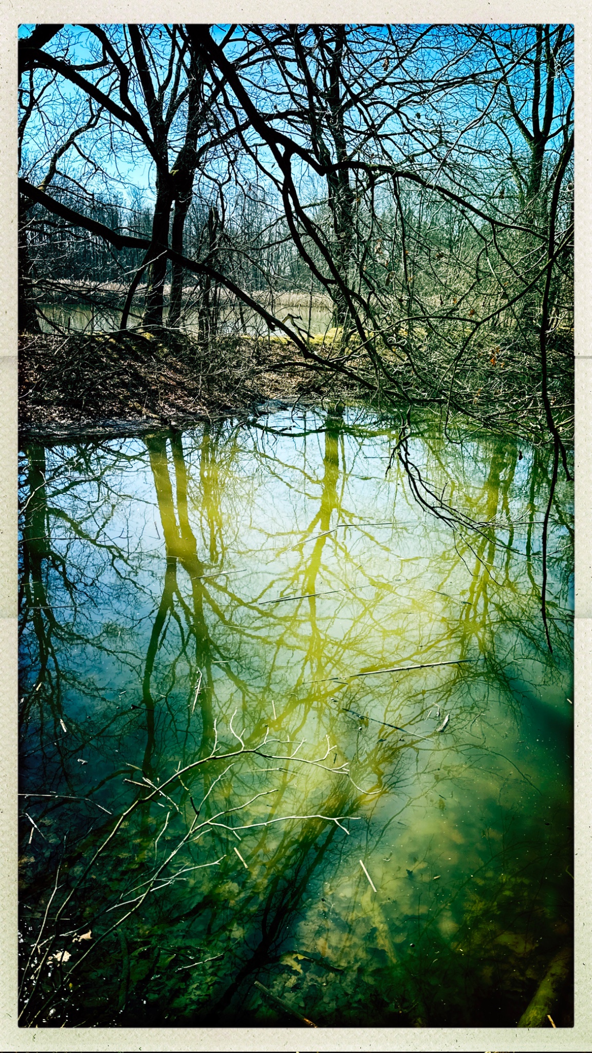 HipstamaticPhoto 764073604.769018