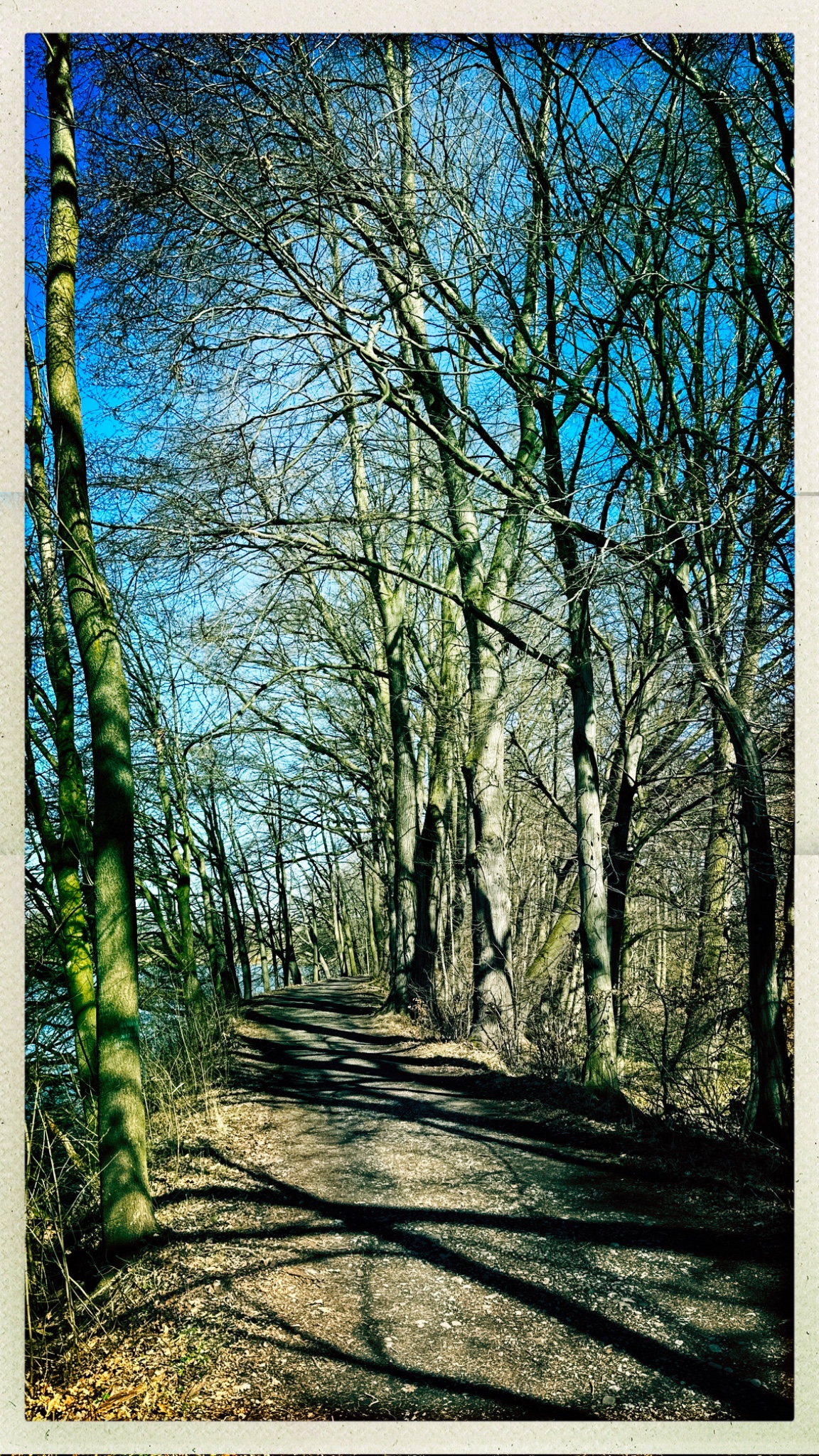 HipstamaticPhoto 764074231.768160