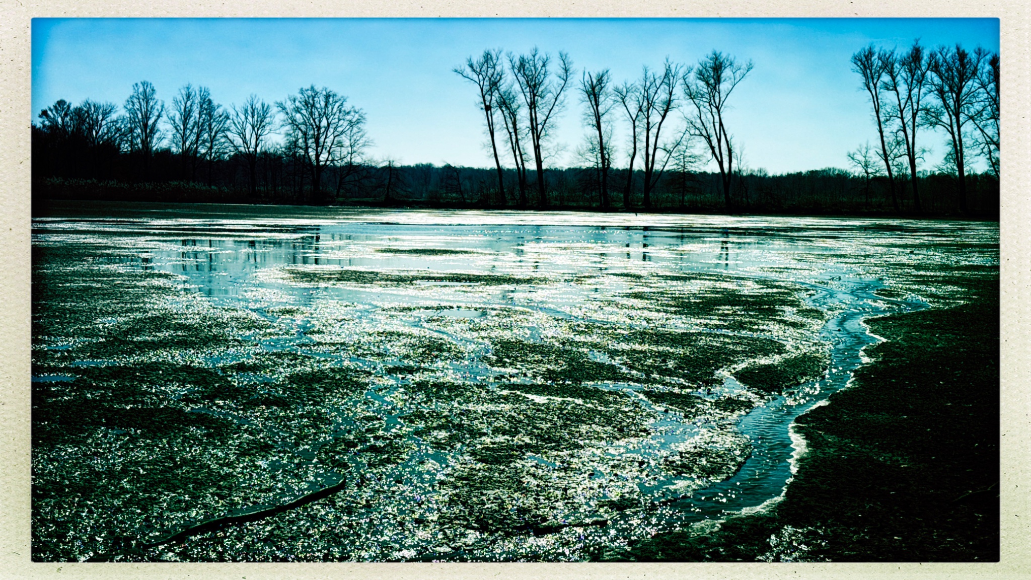 HipstamaticPhoto 764076060.821496