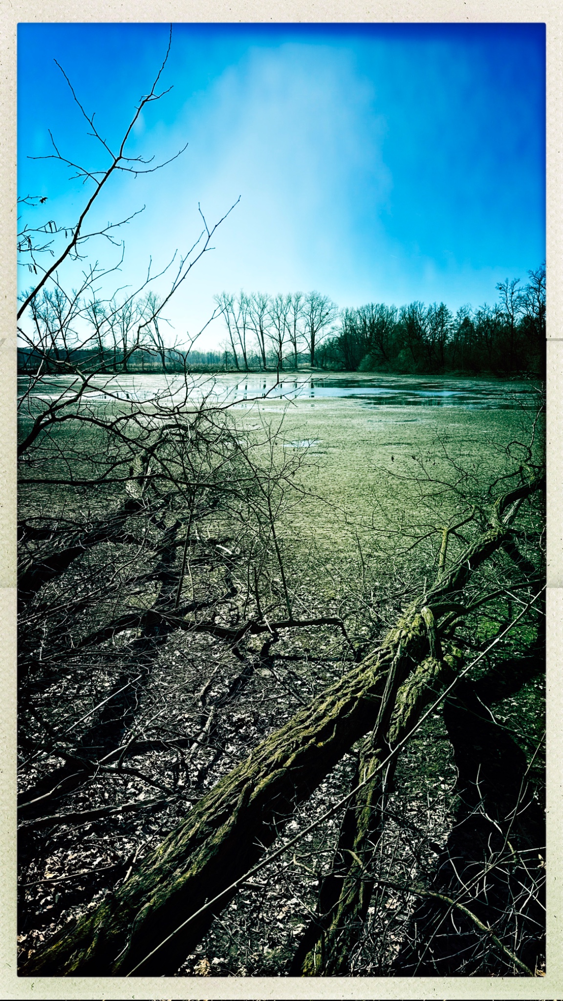 HipstamaticPhoto 764076152.470031