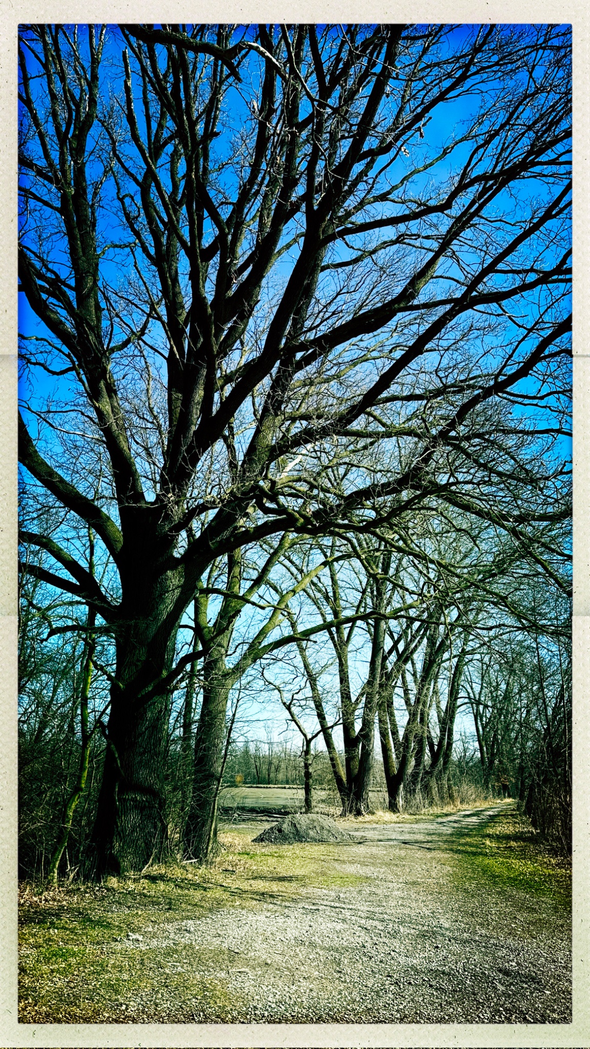 HipstamaticPhoto 764161775.390651