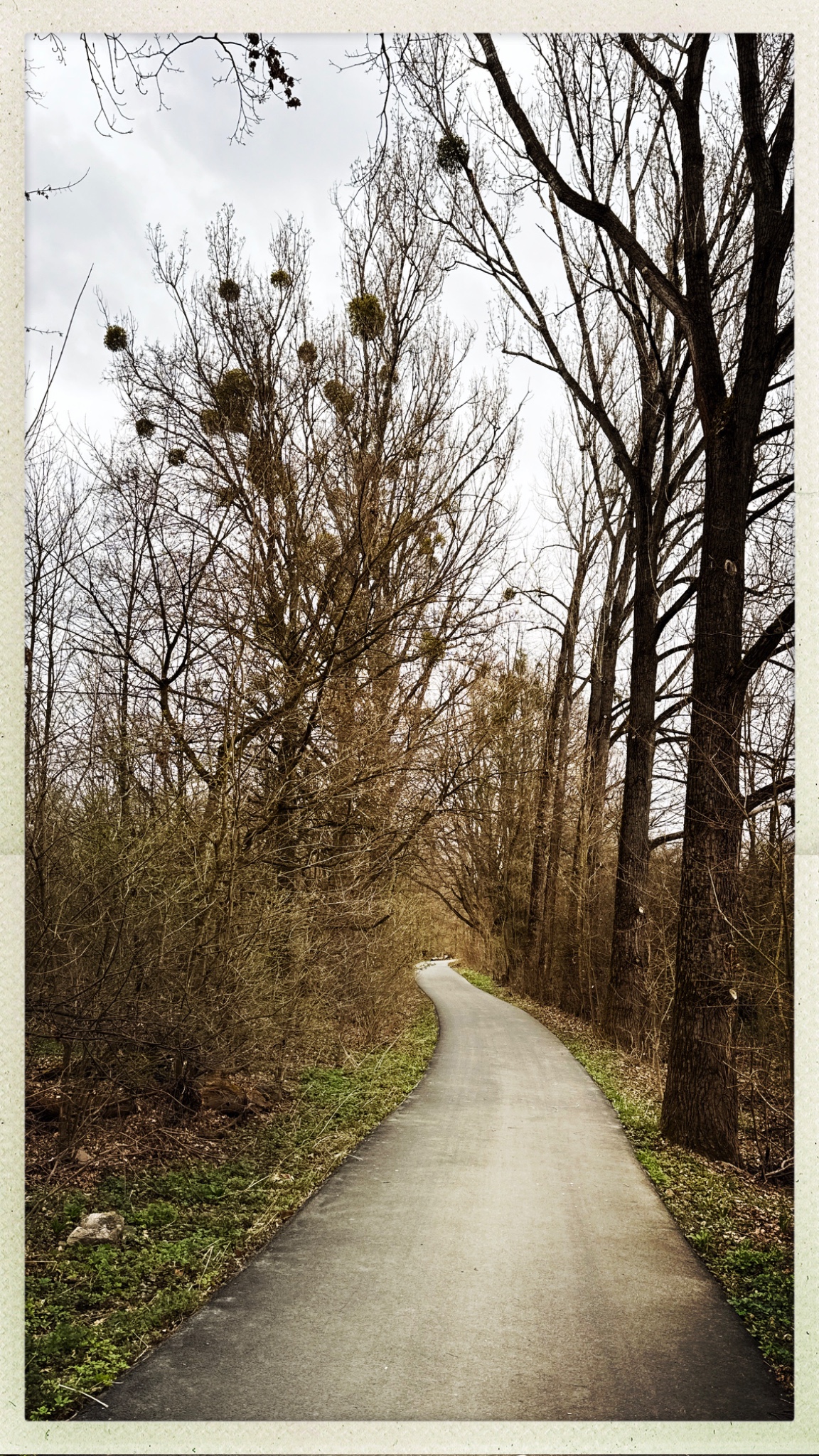 HipstamaticPhoto 764764773.636360