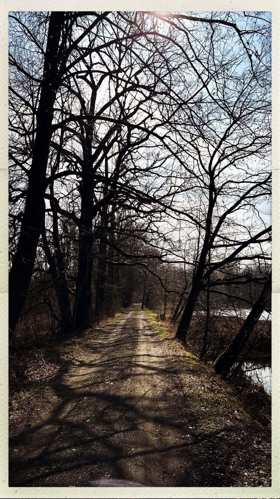 HipstamaticPhoto 764850857.901297