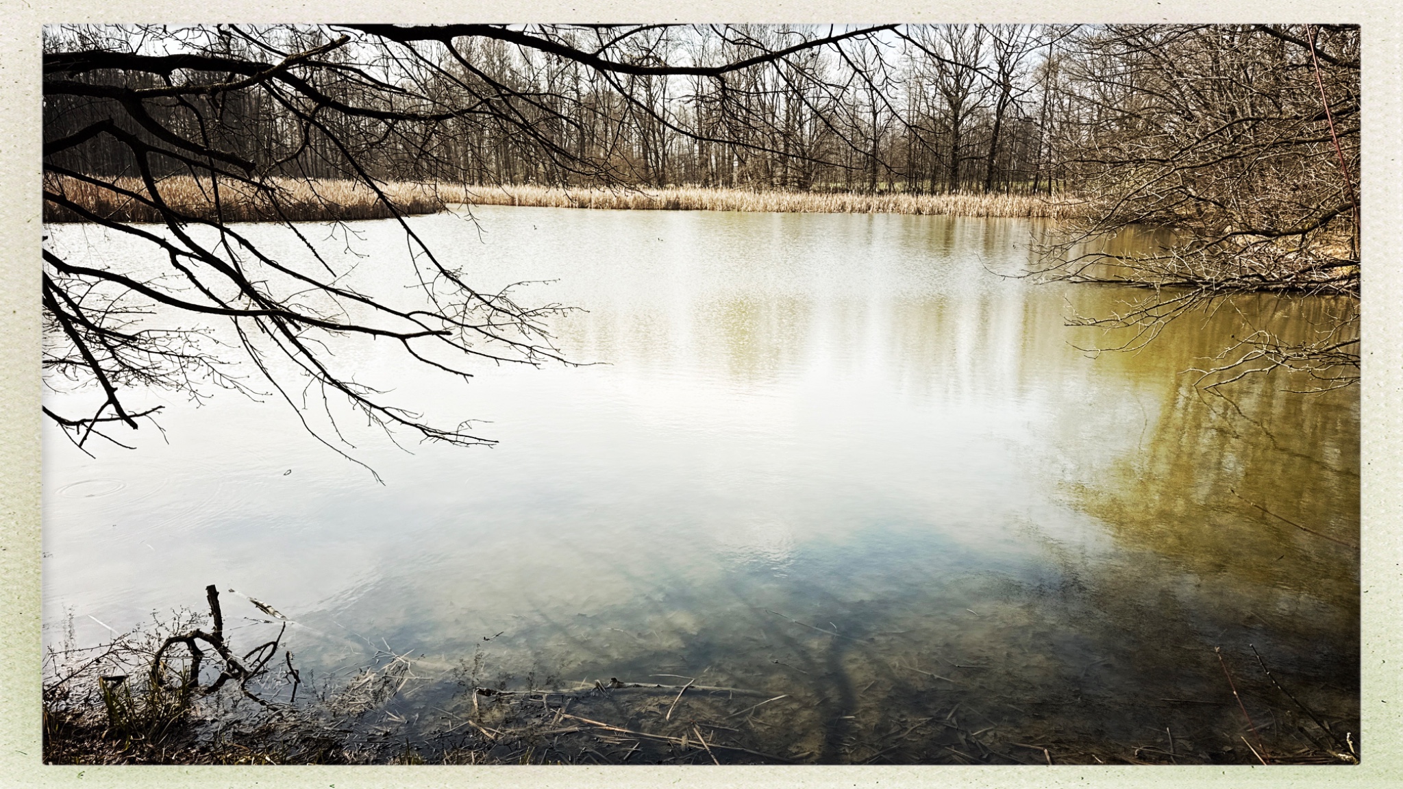 HipstamaticPhoto 764850867.002521