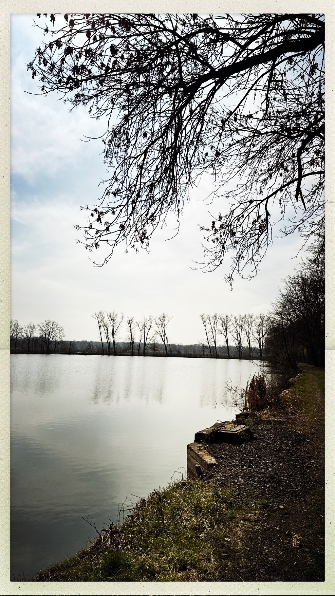 HipstamaticPhoto 764852377.737463