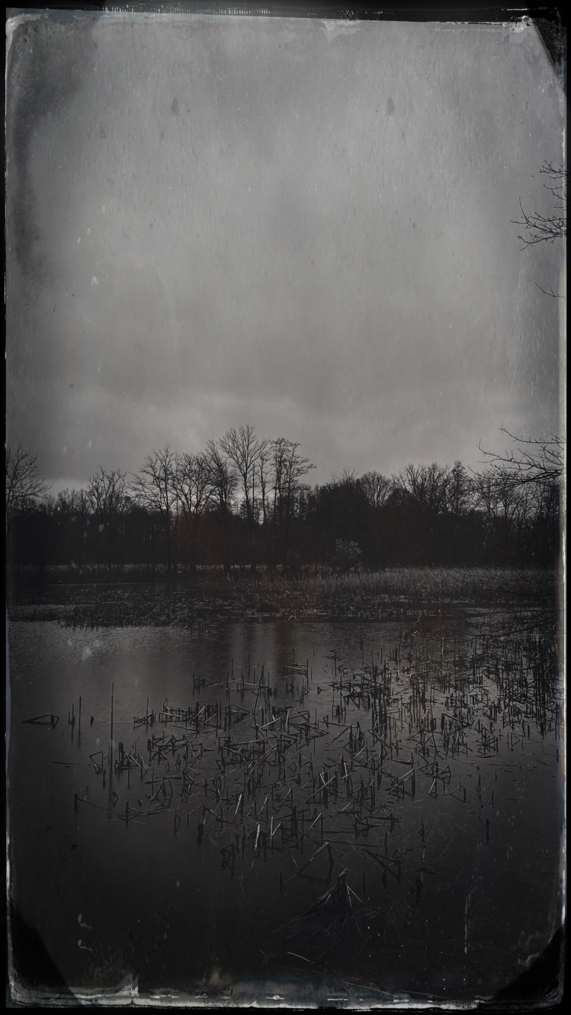 HipstamaticPhoto 765105732.157291