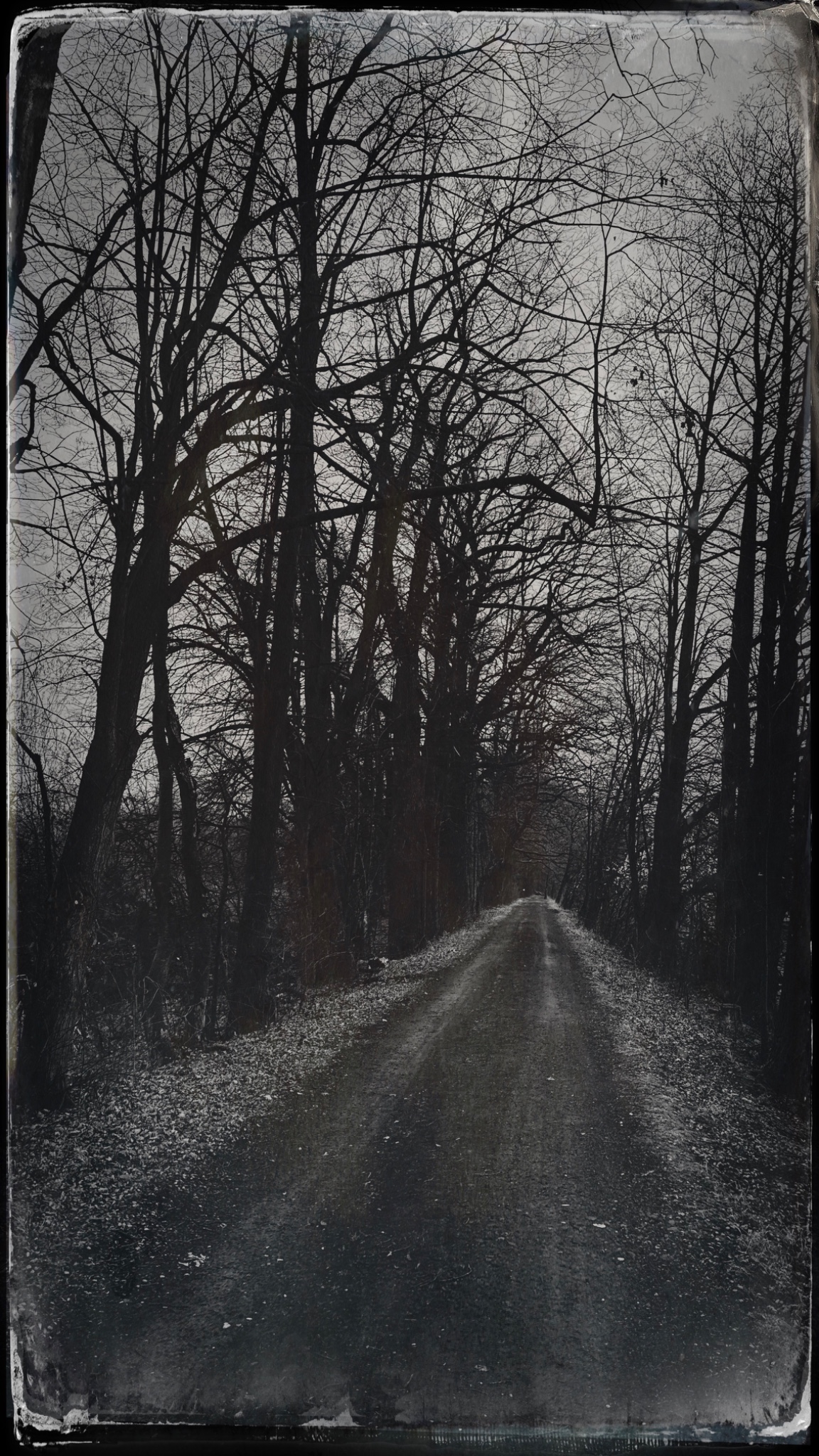 HipstamaticPhoto 765105769.361652